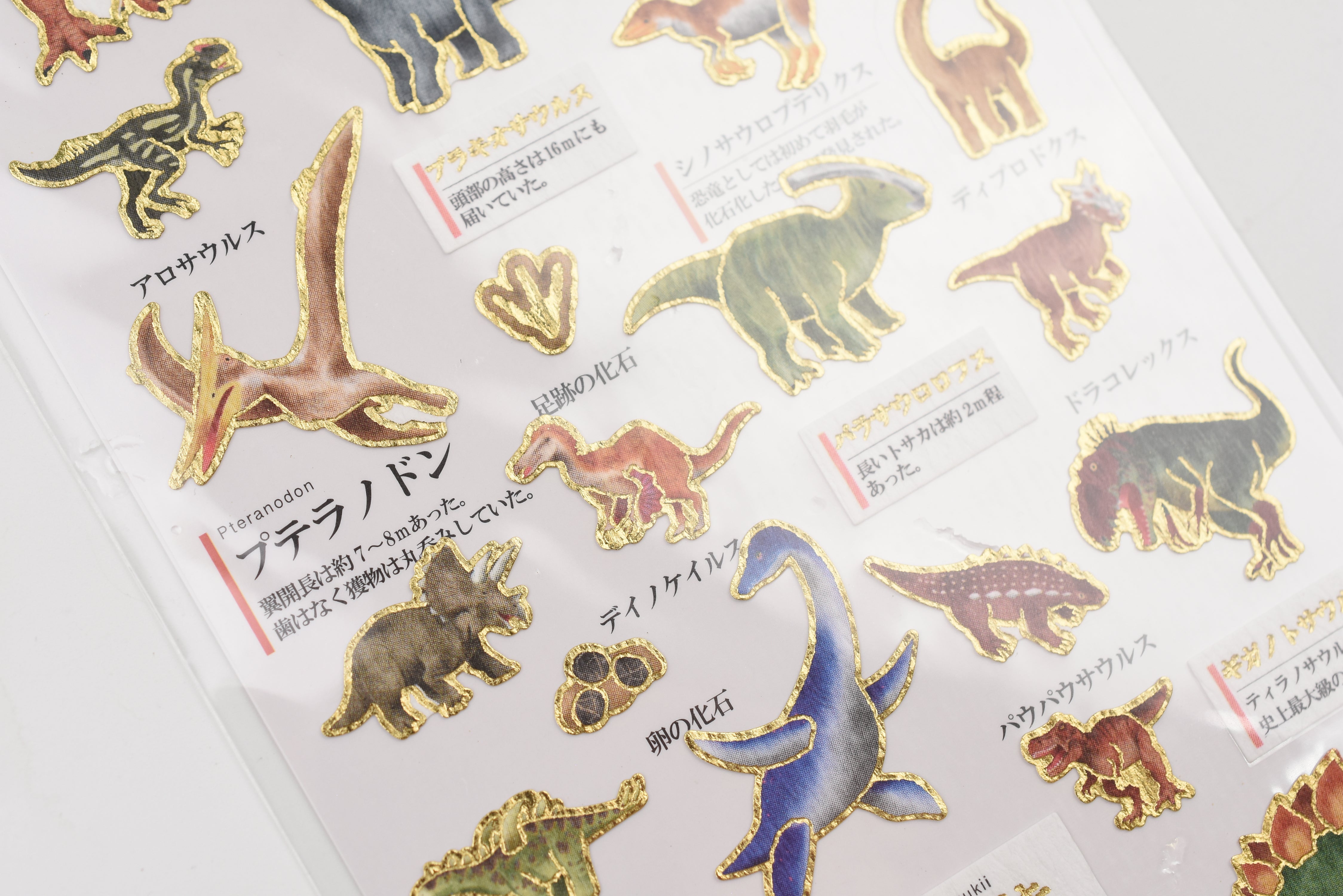 Kamio Adult Illustrated Picture Book Stickers - Dinosaur