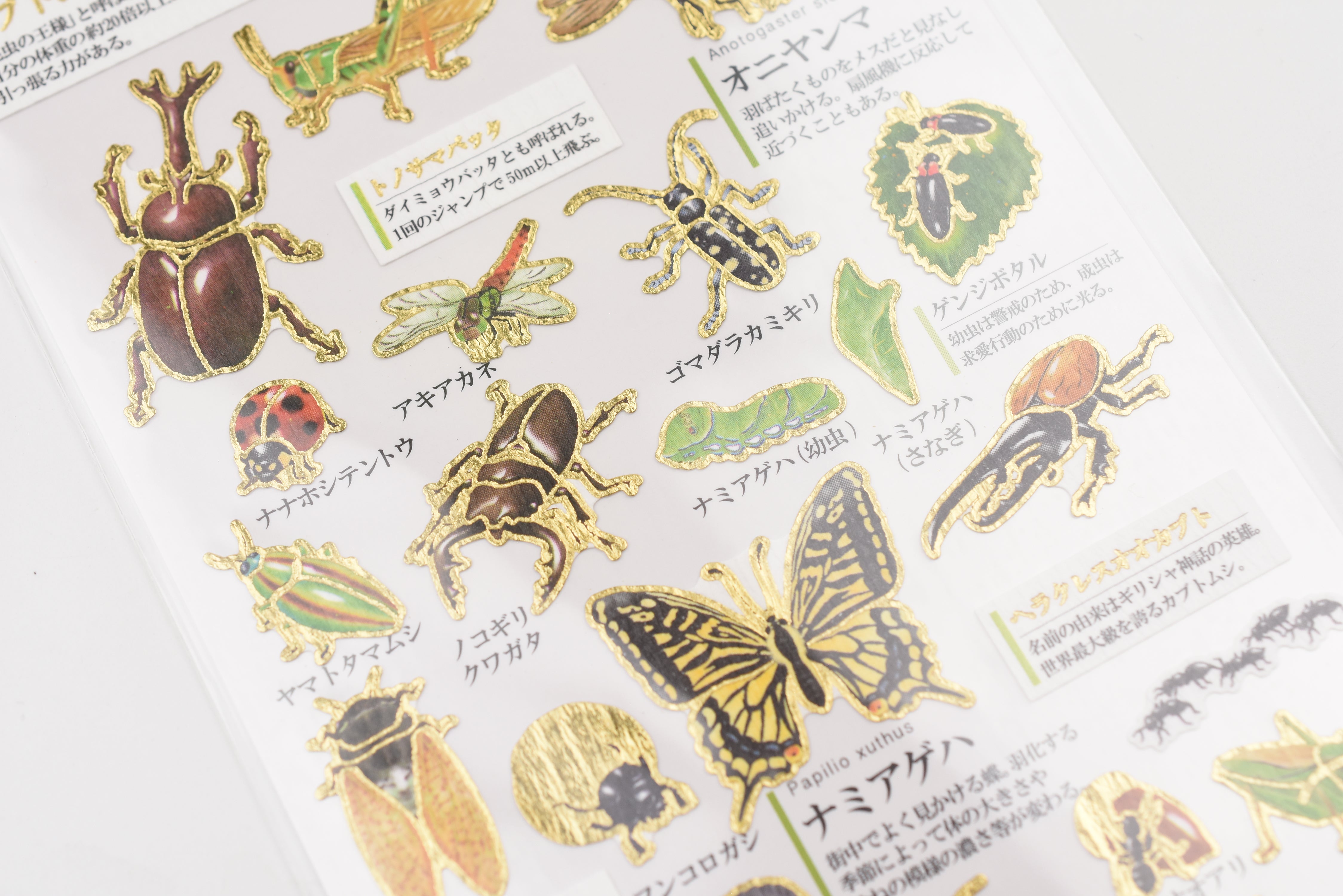 Kamio Adult Illustrated Picture Book Stickers - Insects