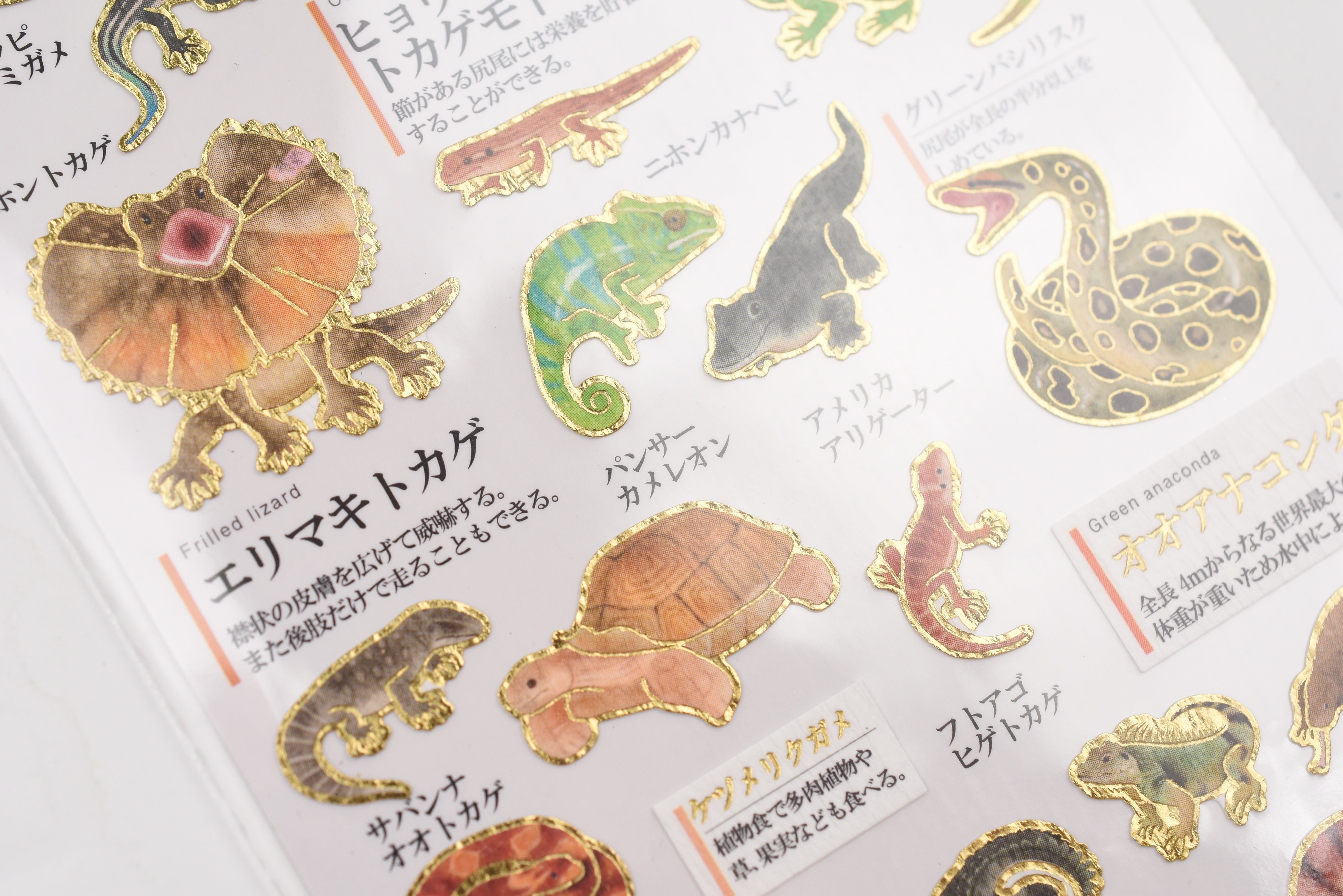 Kamio Adult Illustrated Picture Book Stickers - Reptiles