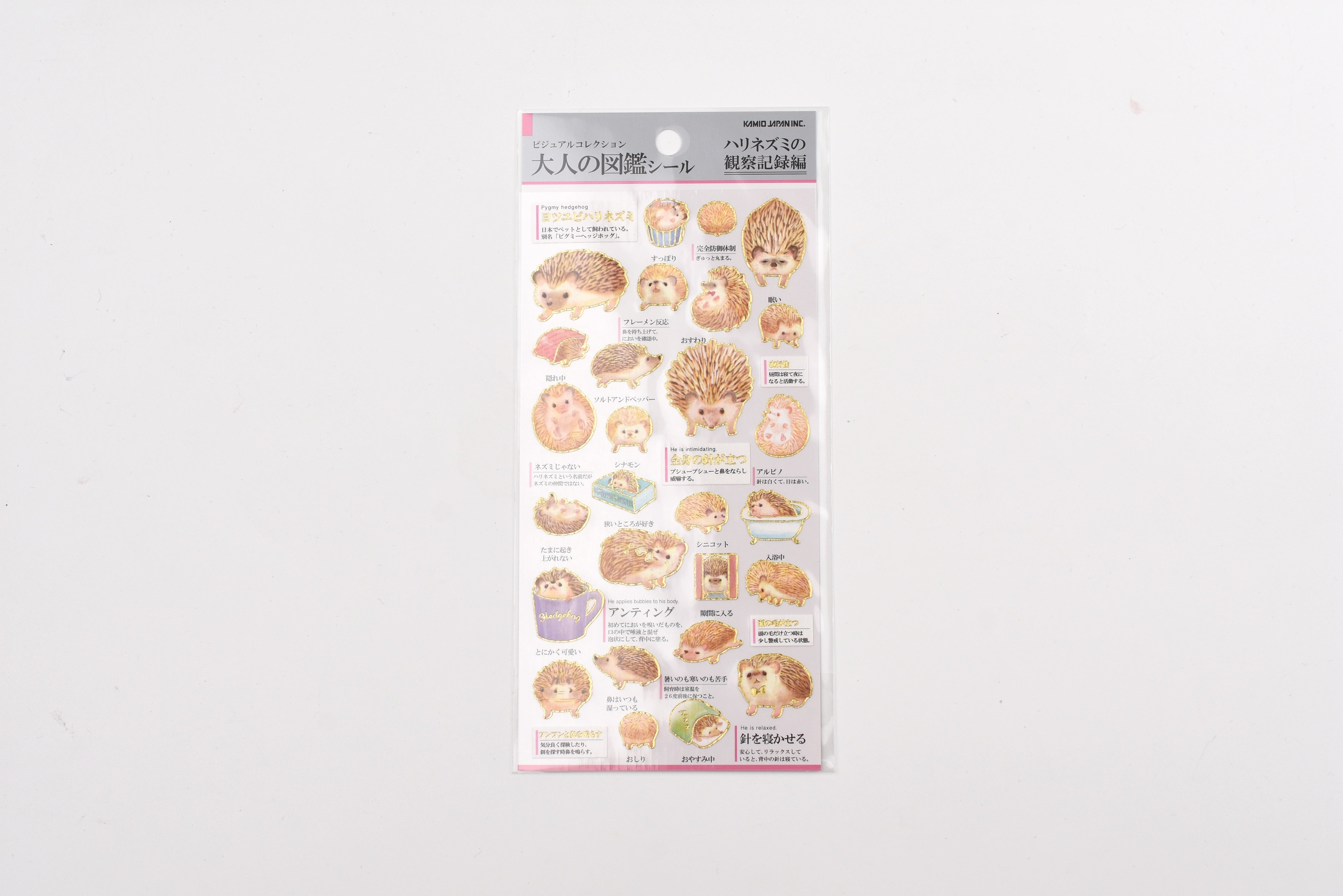 Kamio Adult Illustrated Picture Book Stickers - Hedgehog Observation Record