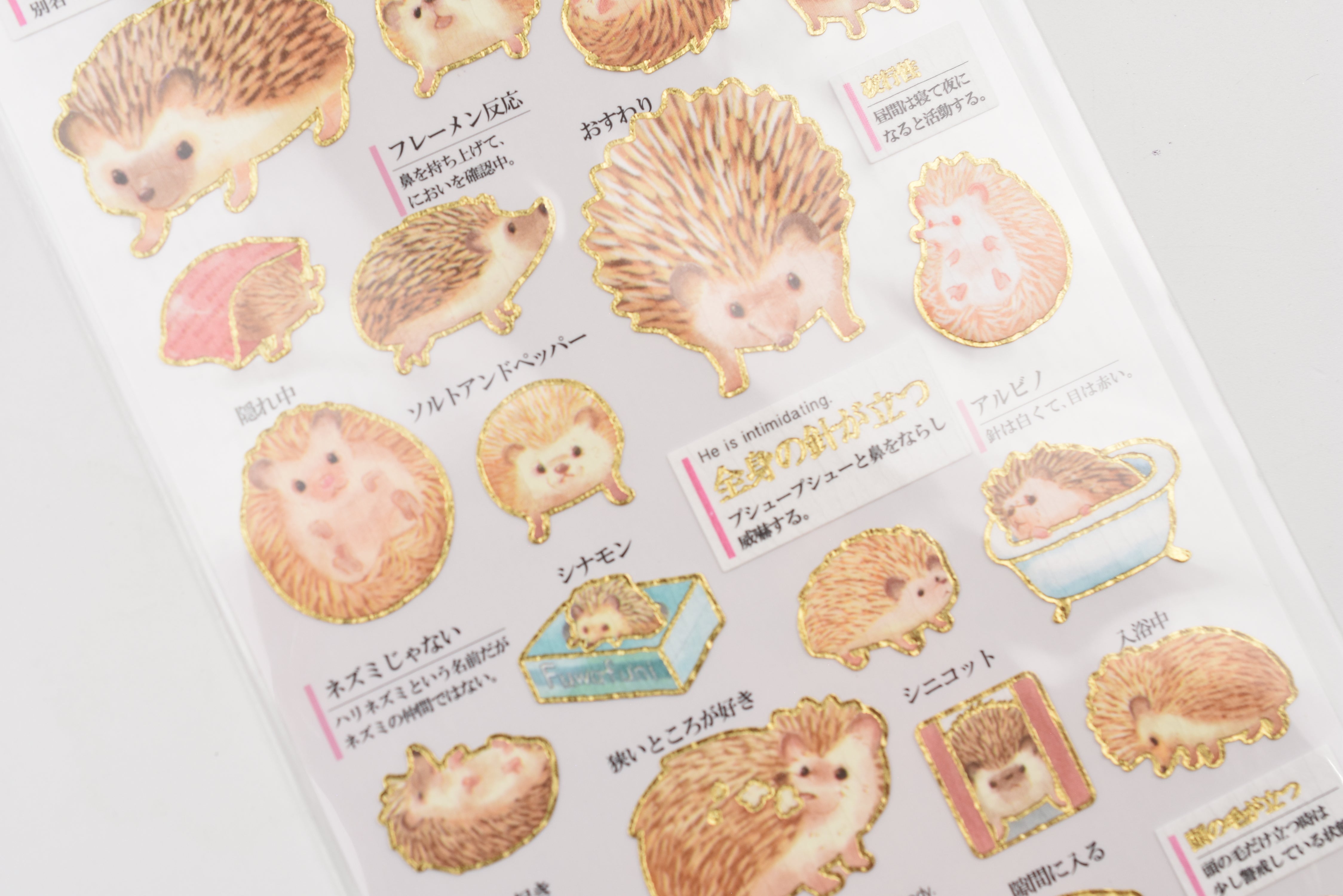 Kamio Adult Illustrated Picture Book Stickers - Hedgehog Observation Record