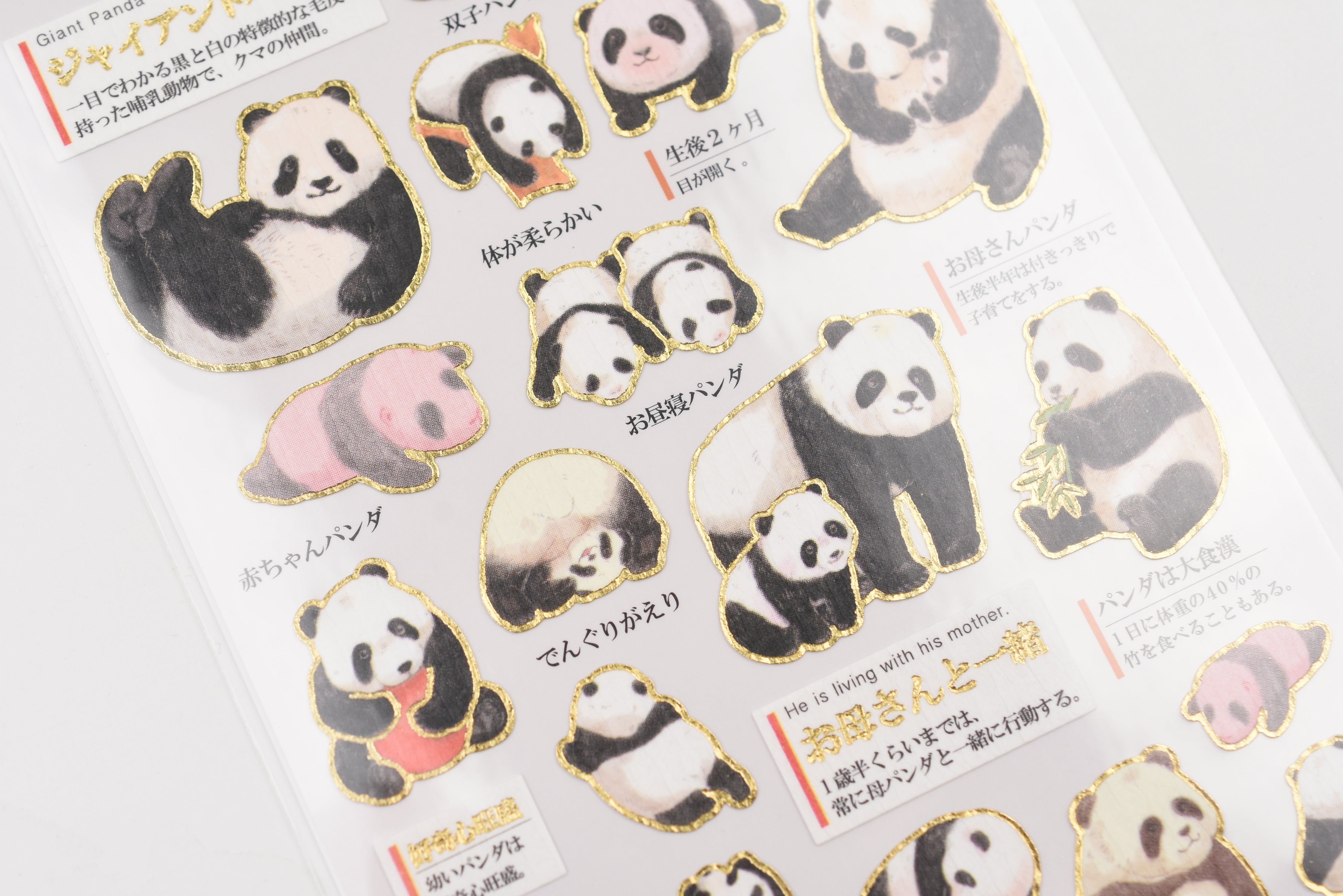 Kamio Adult Illustrated Picture Book Stickers - Panda