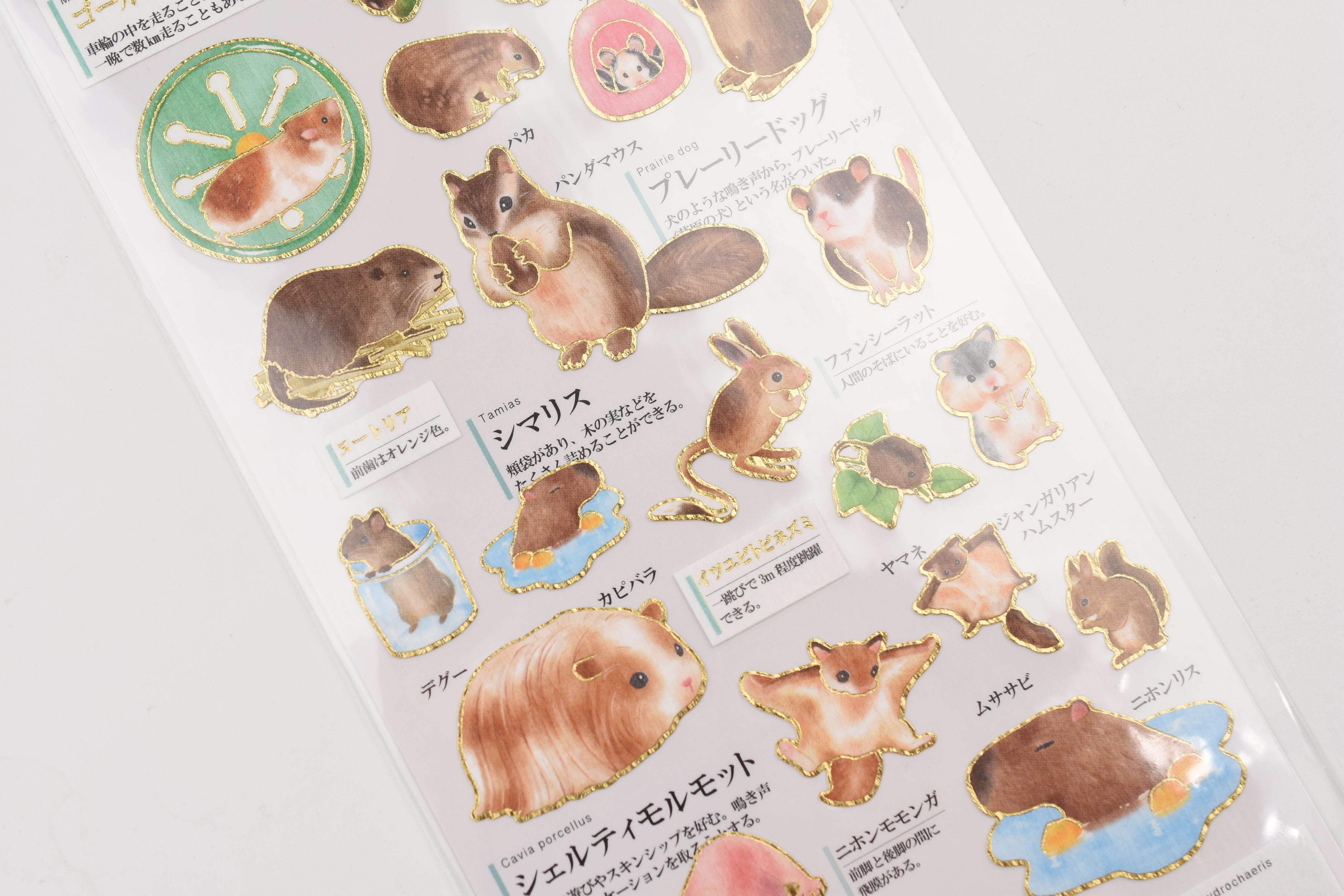Kamio Adult Illustrated Picture Book Stickers - Rodents