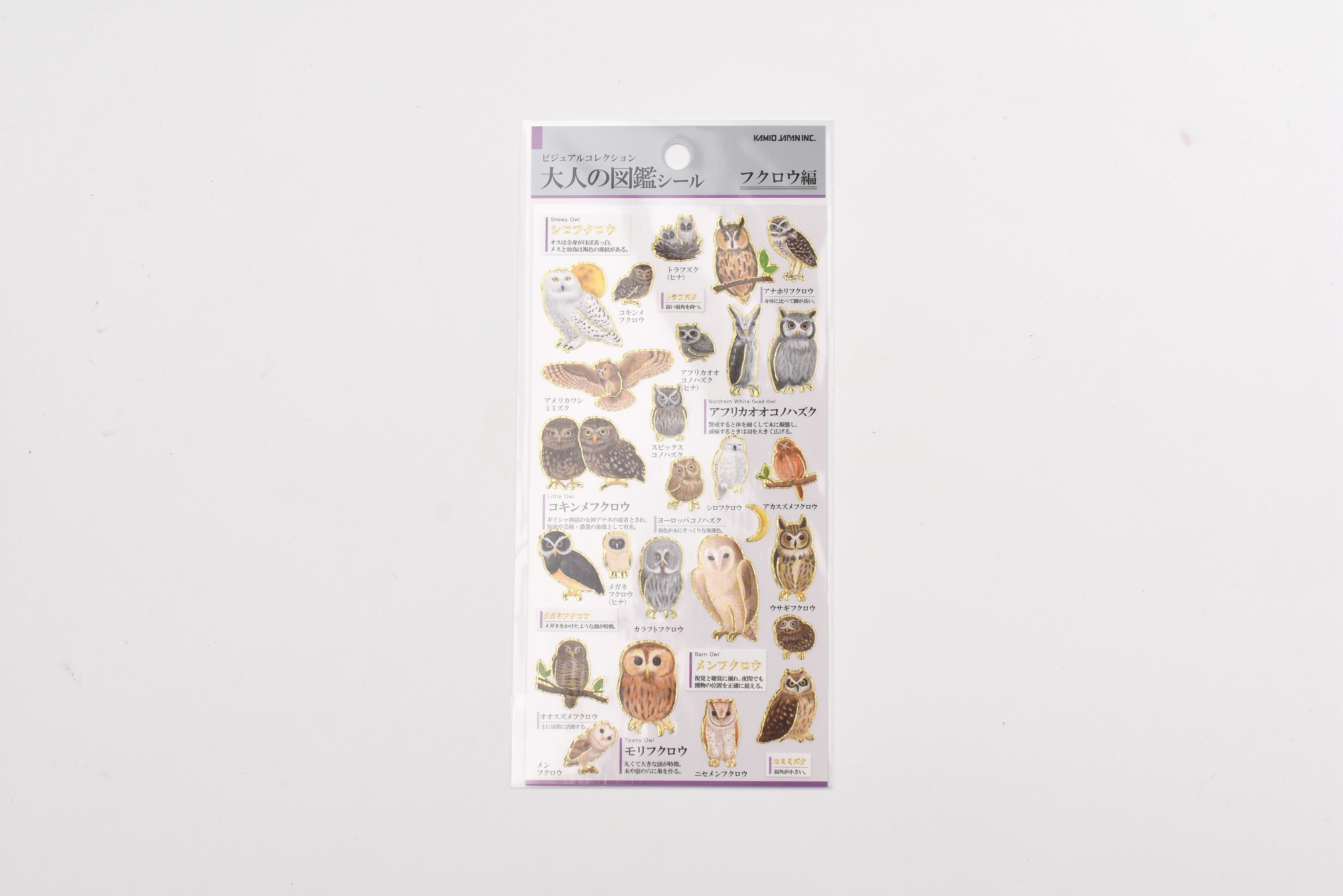 Kamio Adult Illustrated Picture Book Stickers - Owl