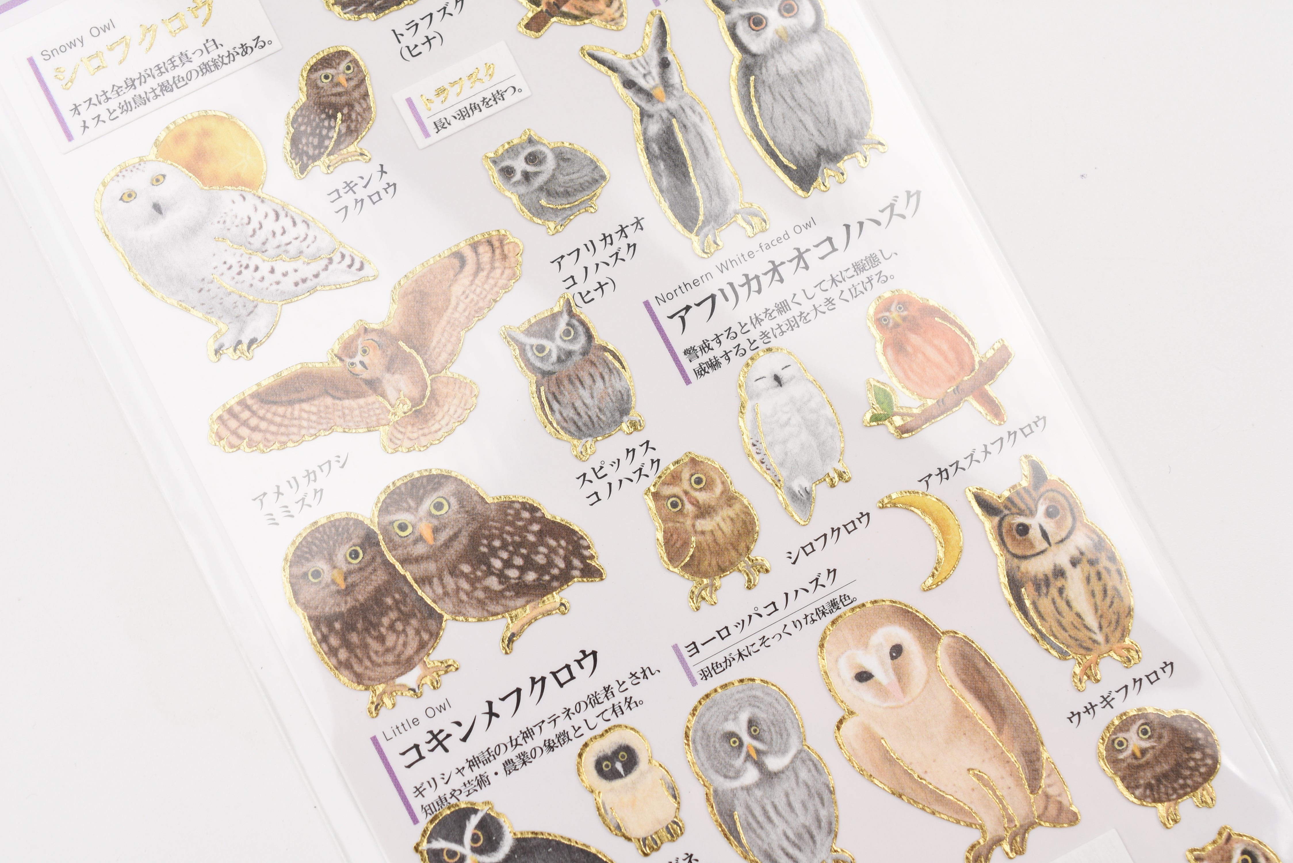 Kamio Adult Illustrated Picture Book Stickers - Owl