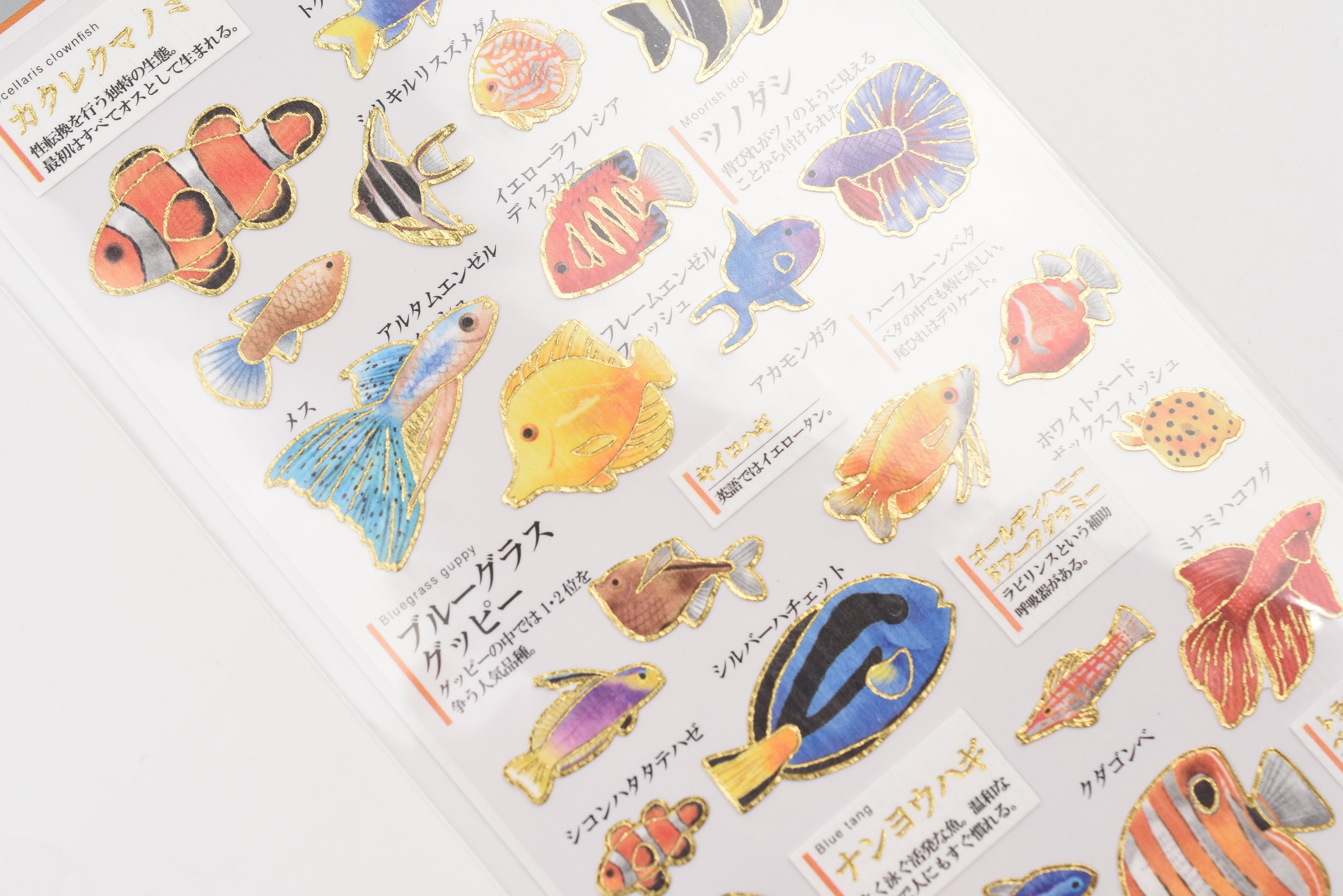 Kamio Adult Illustrated Picture Book Stickers - Tropical Fish