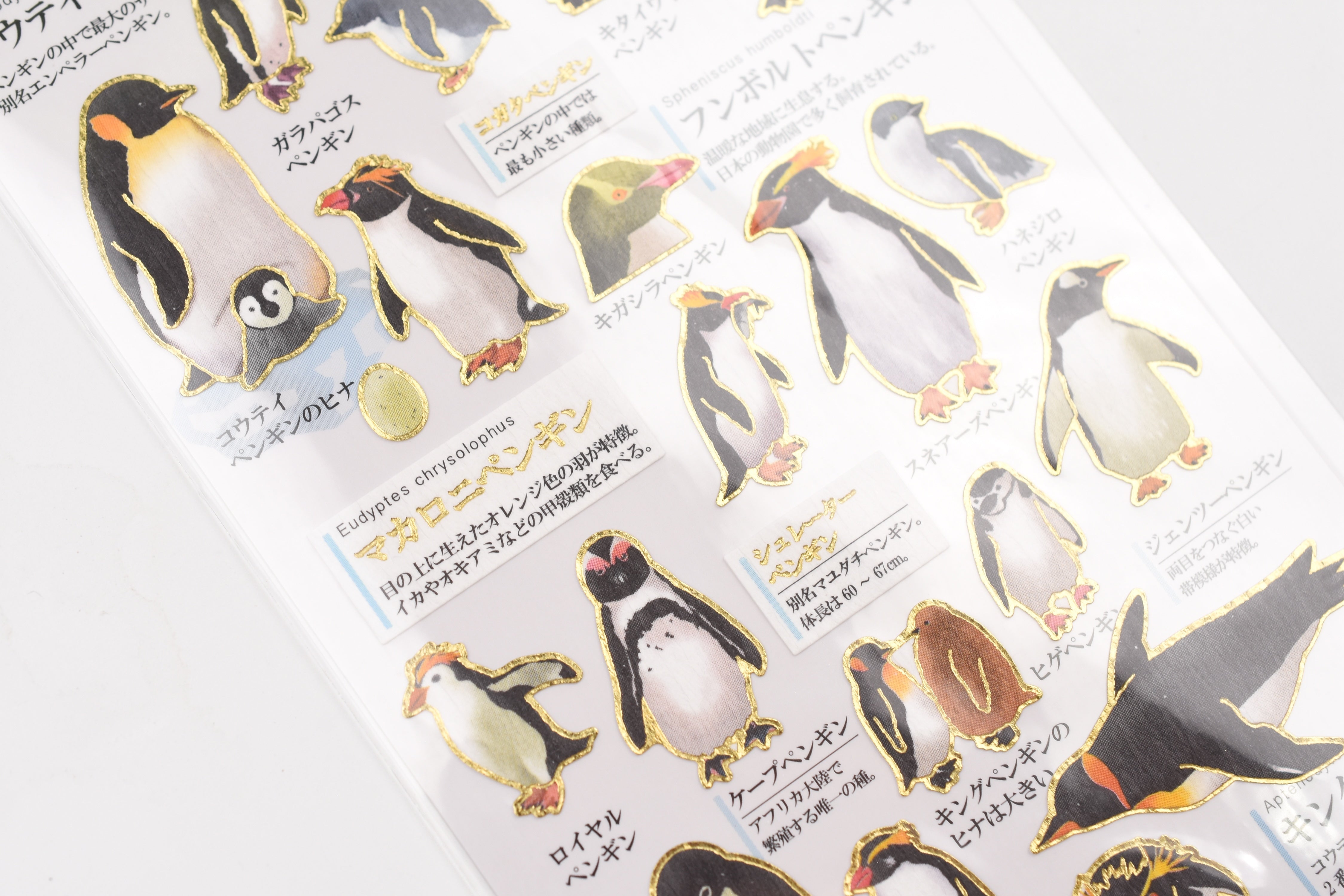Kamio Adult Illustrated Picture Book Stickers - Penguin