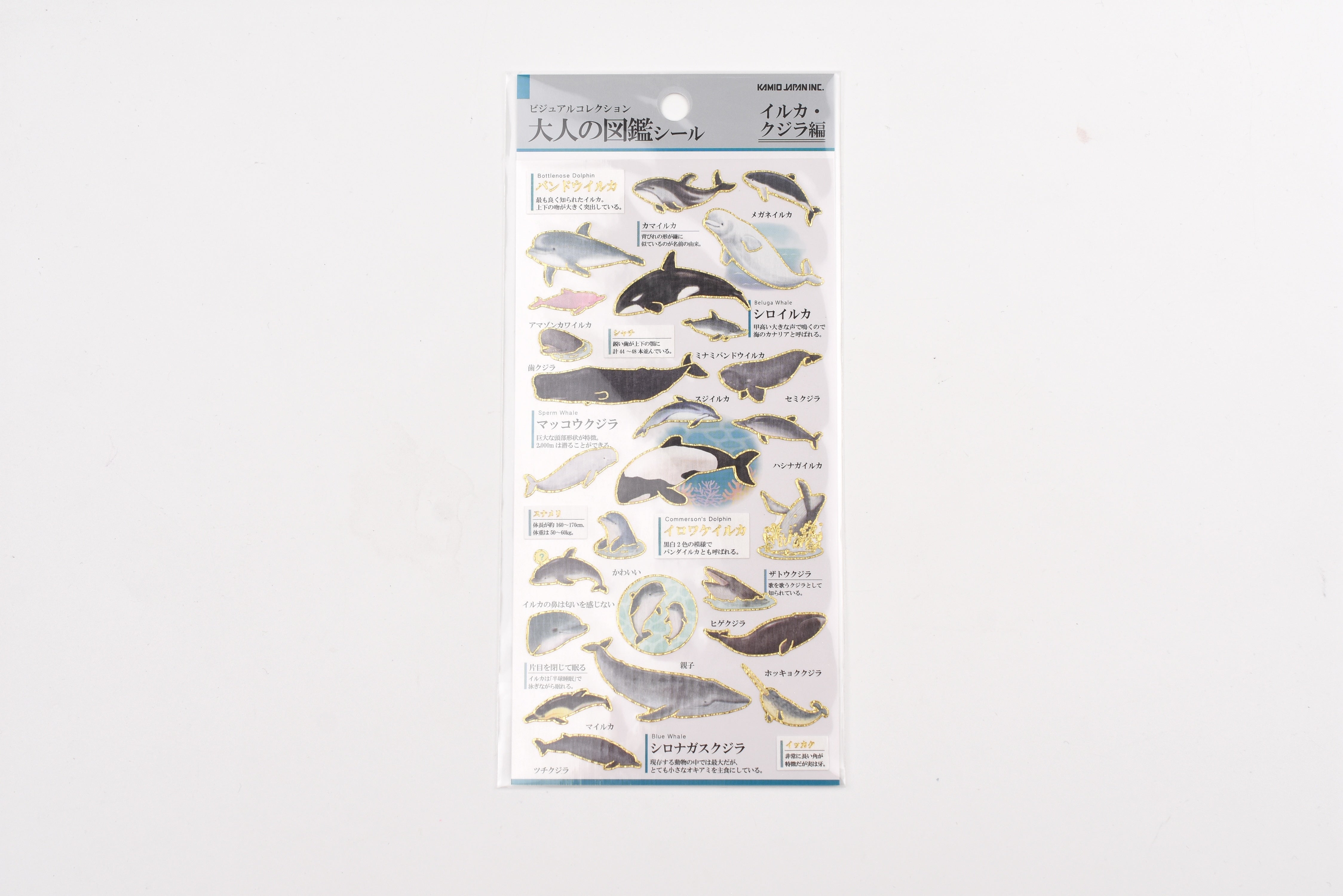 Kamio Adult Illustrated Picture Book Stickers - Dolphins & Whales