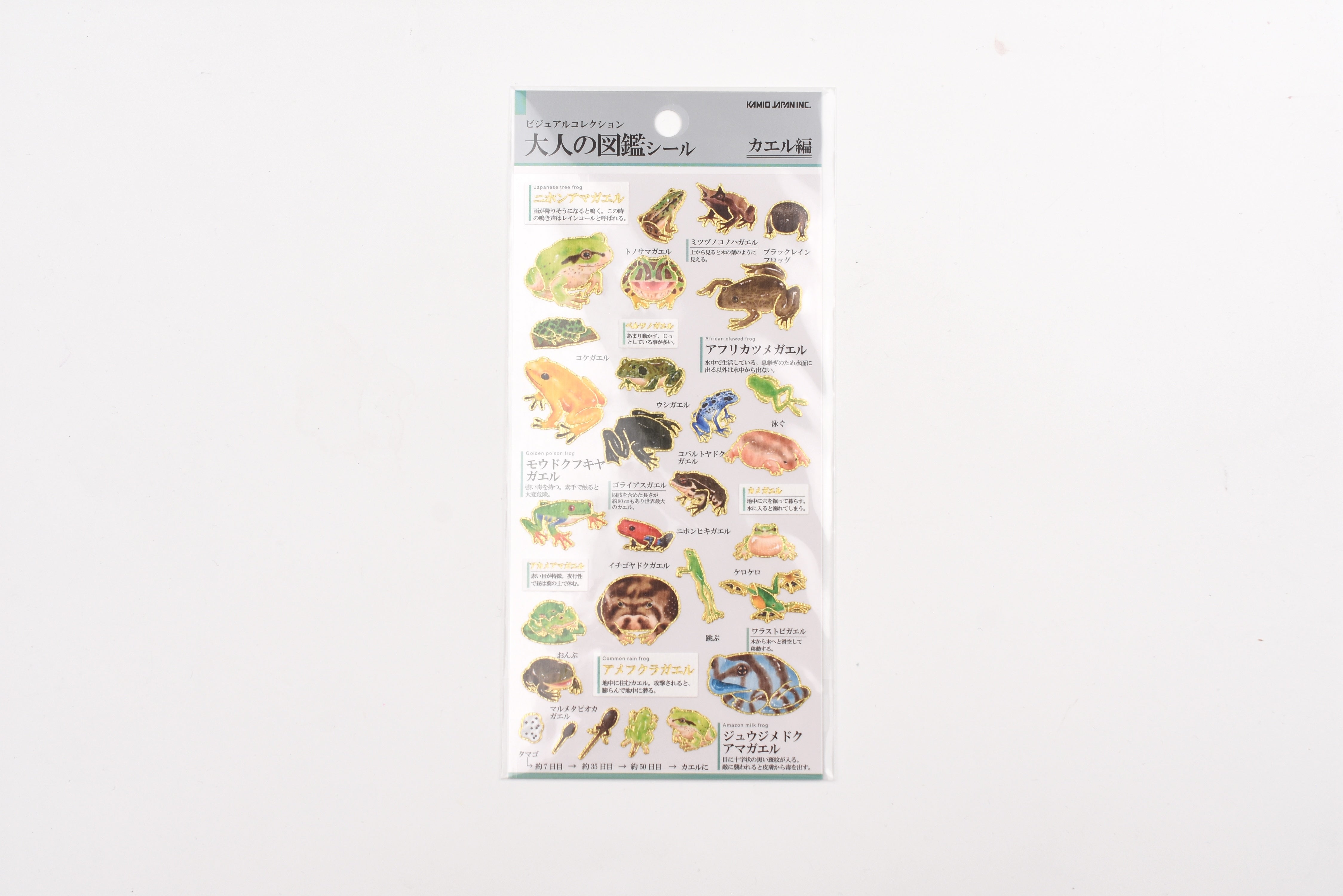 Kamio Adult Illustrated Picture Book Stickers - Frog
