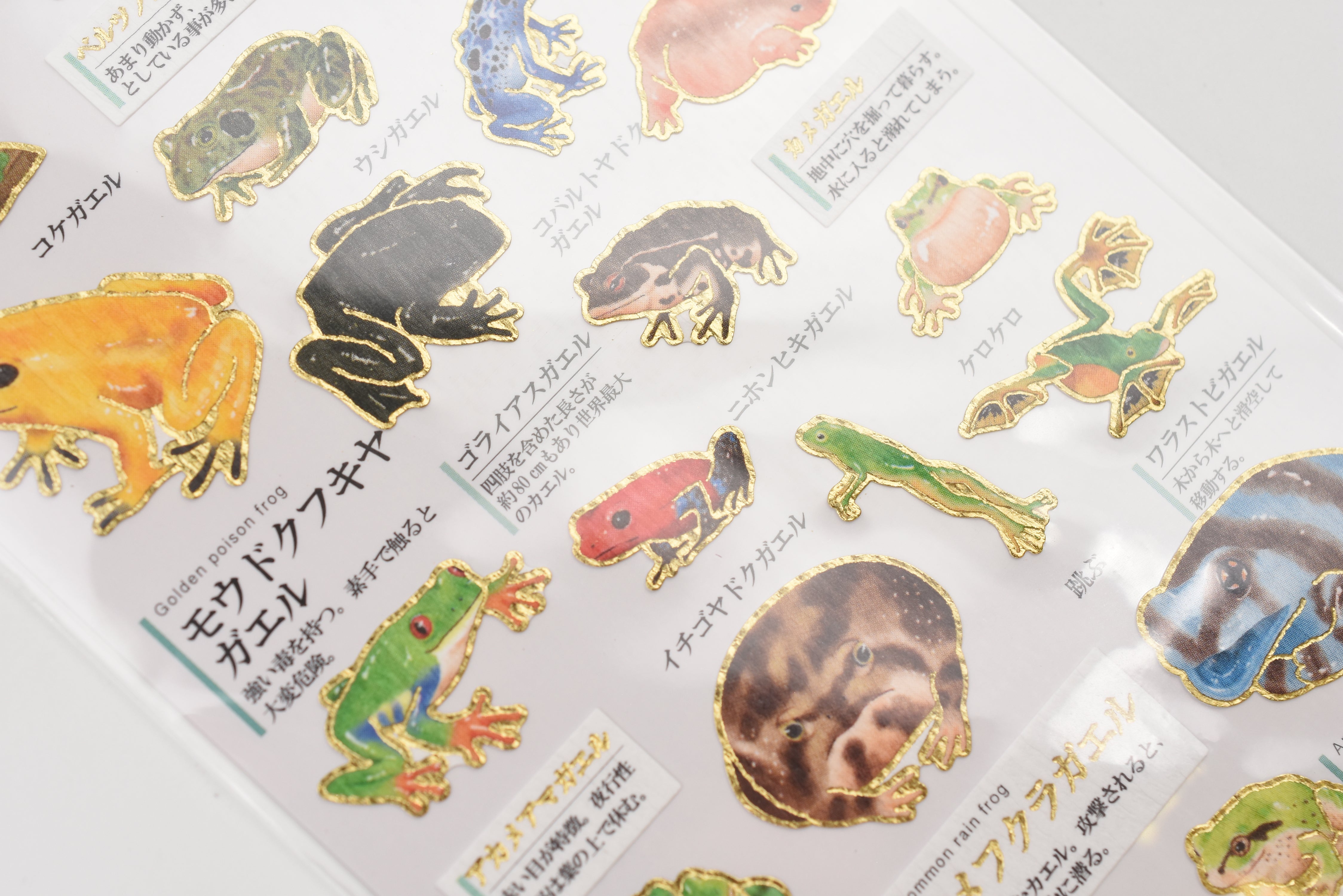 Kamio Adult Illustrated Picture Book Stickers - Frog