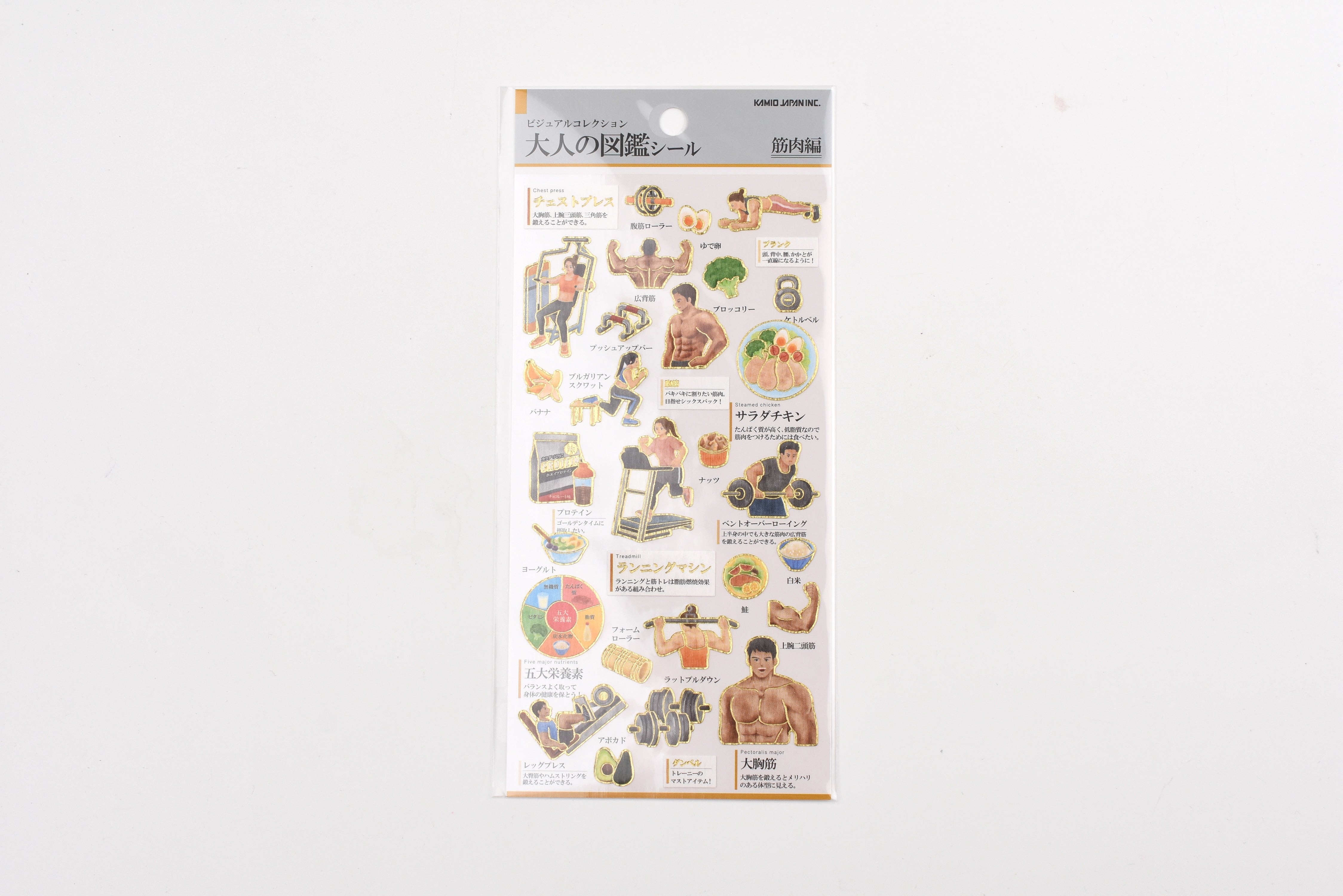 Kamio Adult Illustrated Picture Book Stickers - Muscle