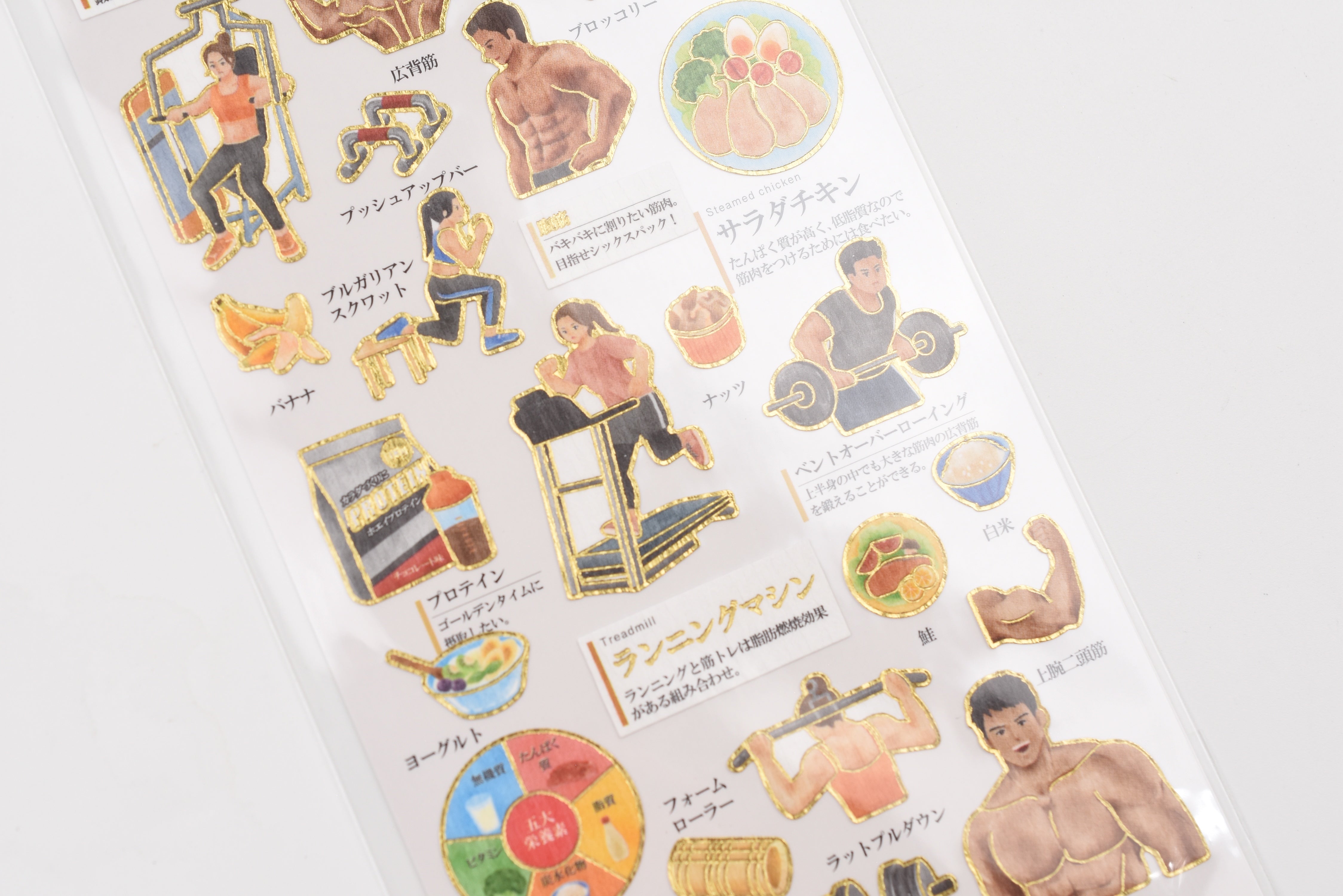 Kamio Adult Illustrated Picture Book Stickers - Muscle