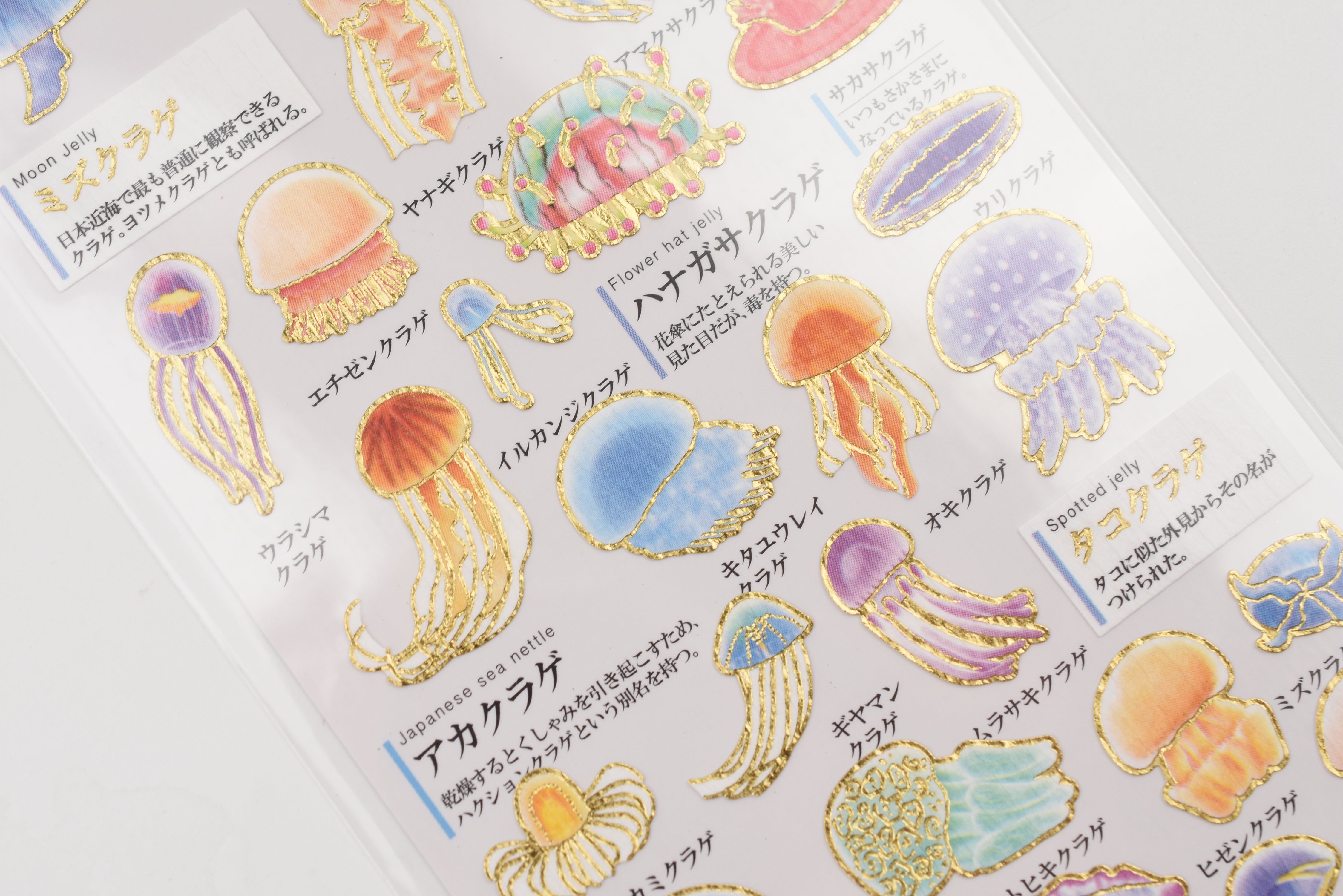 Kamio Adult Illustrated Picture Book Stickers - Jellyfish