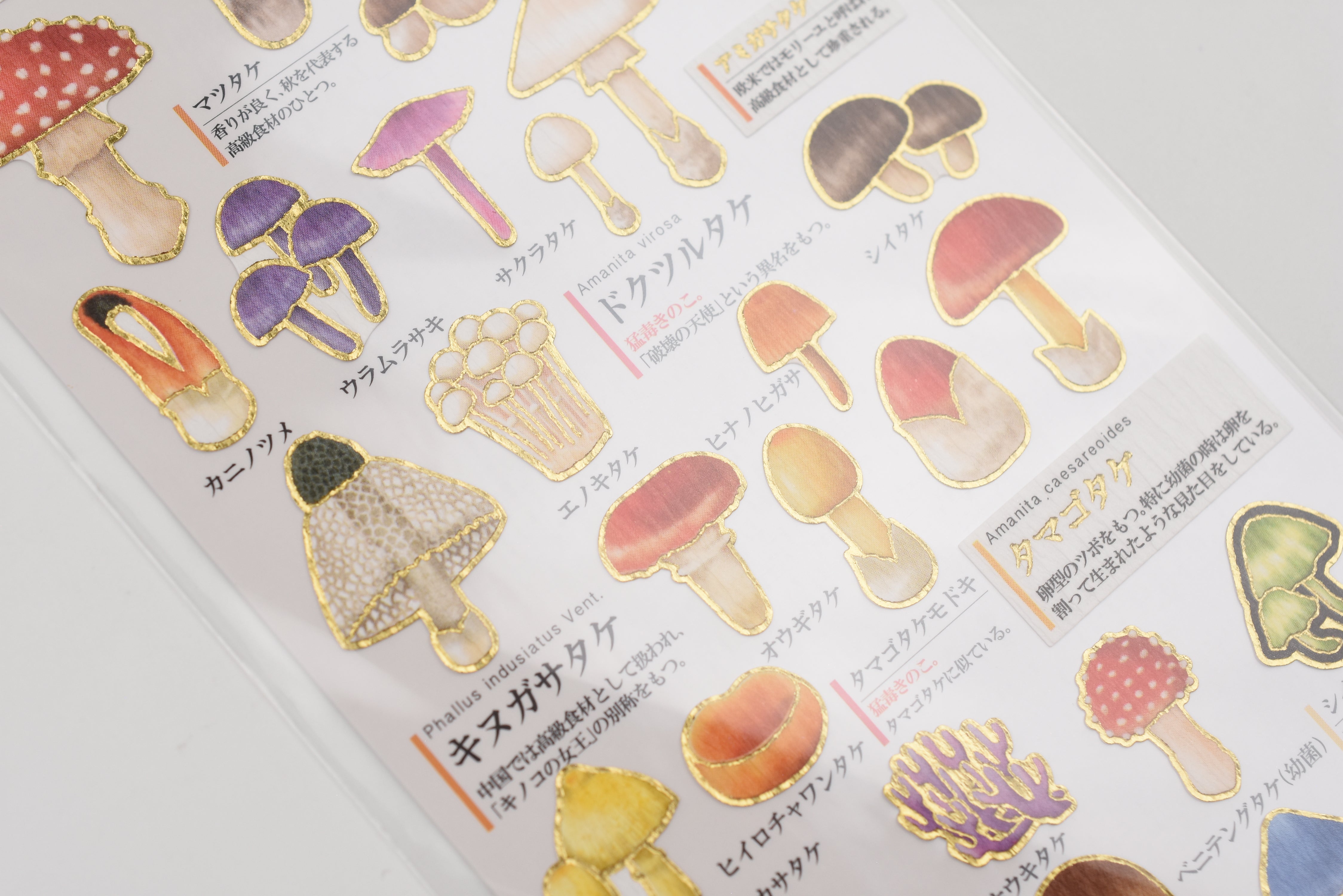 Kamio Adult Illustrated Picture Book Stickers - Mushrooms