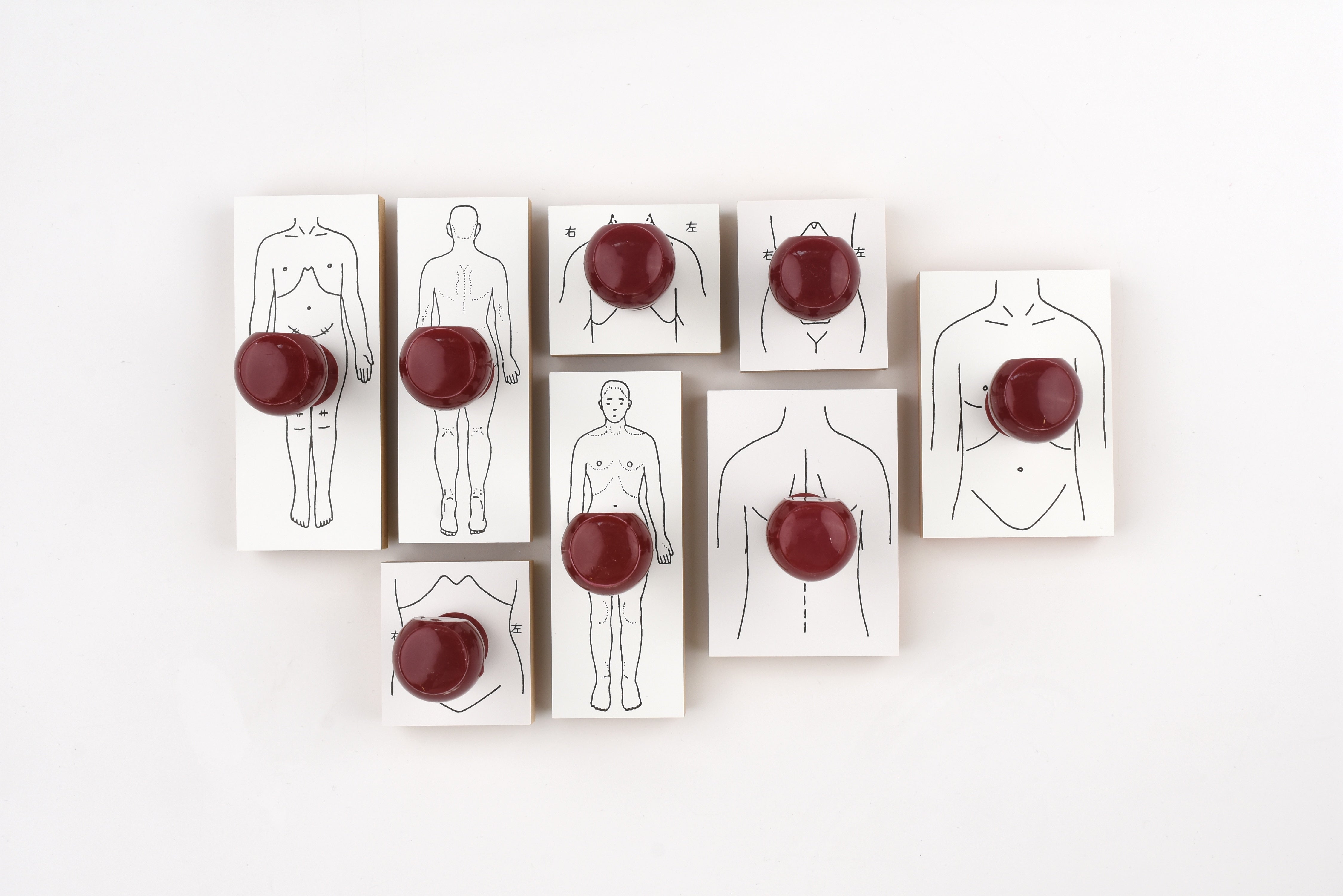 Sanby Human Body Diagram Rubber Stamps
