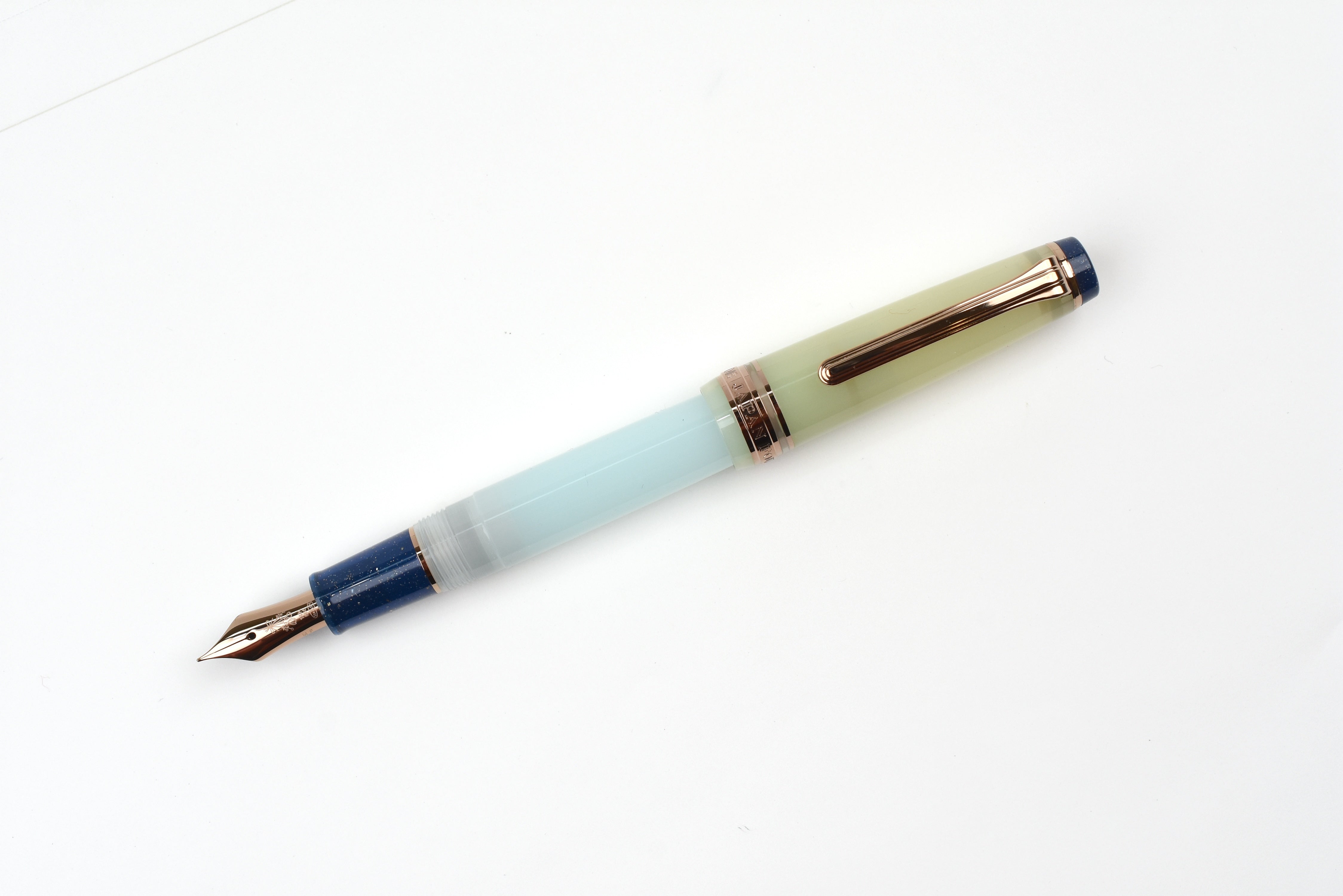 Sailor Pro Gear Slim - Dried Flowers - Hydrangea