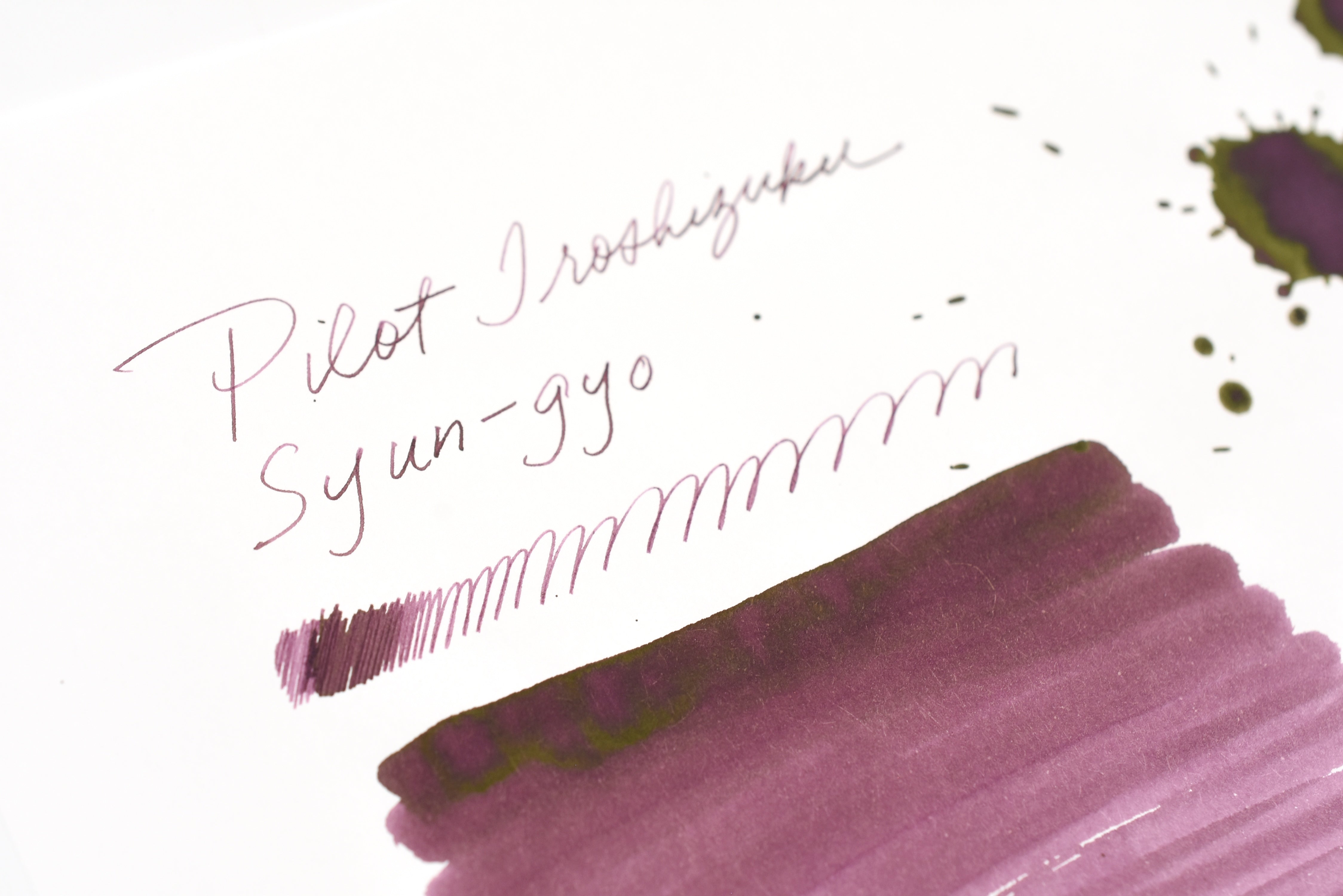 Pilot Iroshizuku Ink - Syun-gyo - 50 mL Bottle Ink
