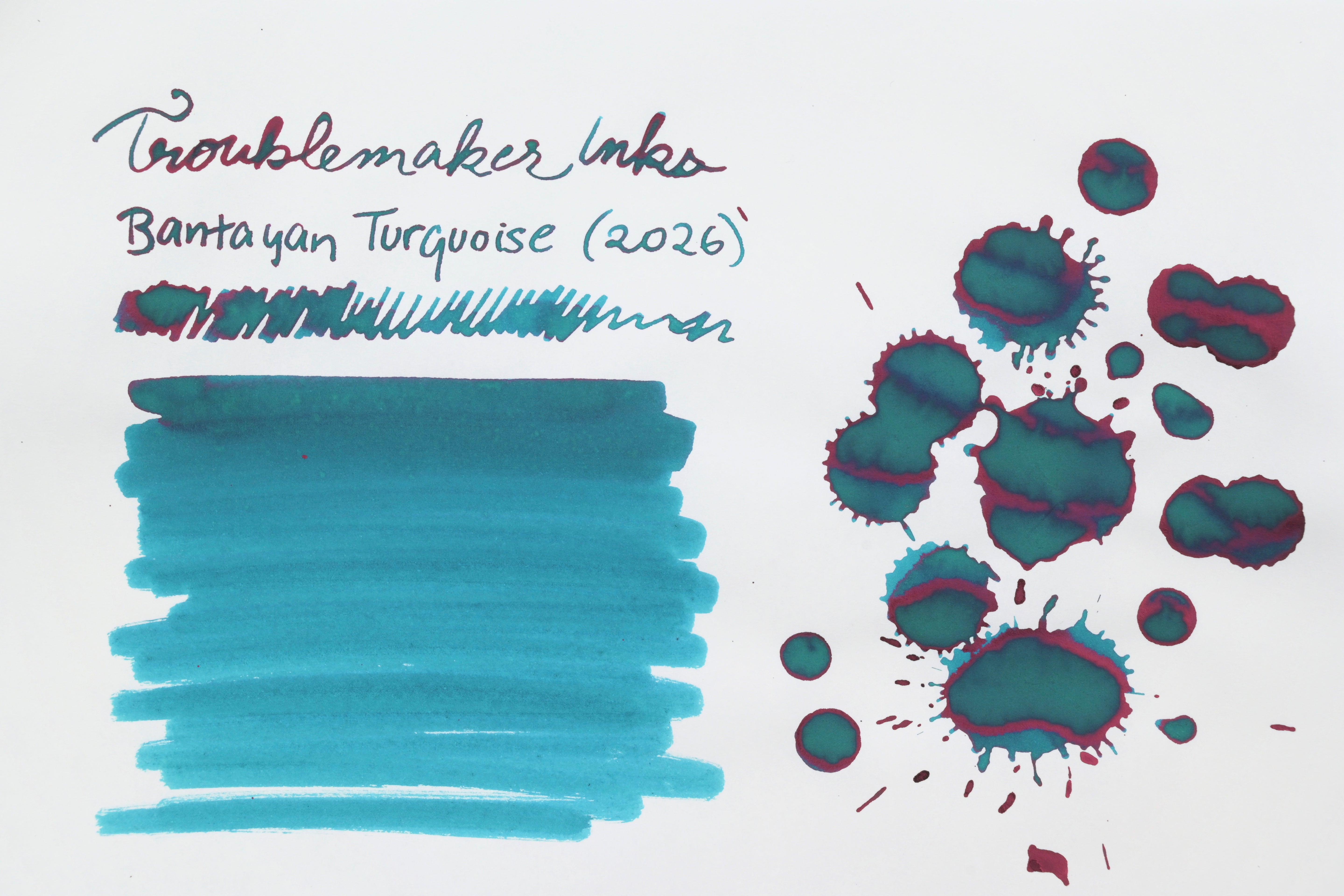 Troublemaker Inks - Standard - Bantayan Turquoise - 60 mL