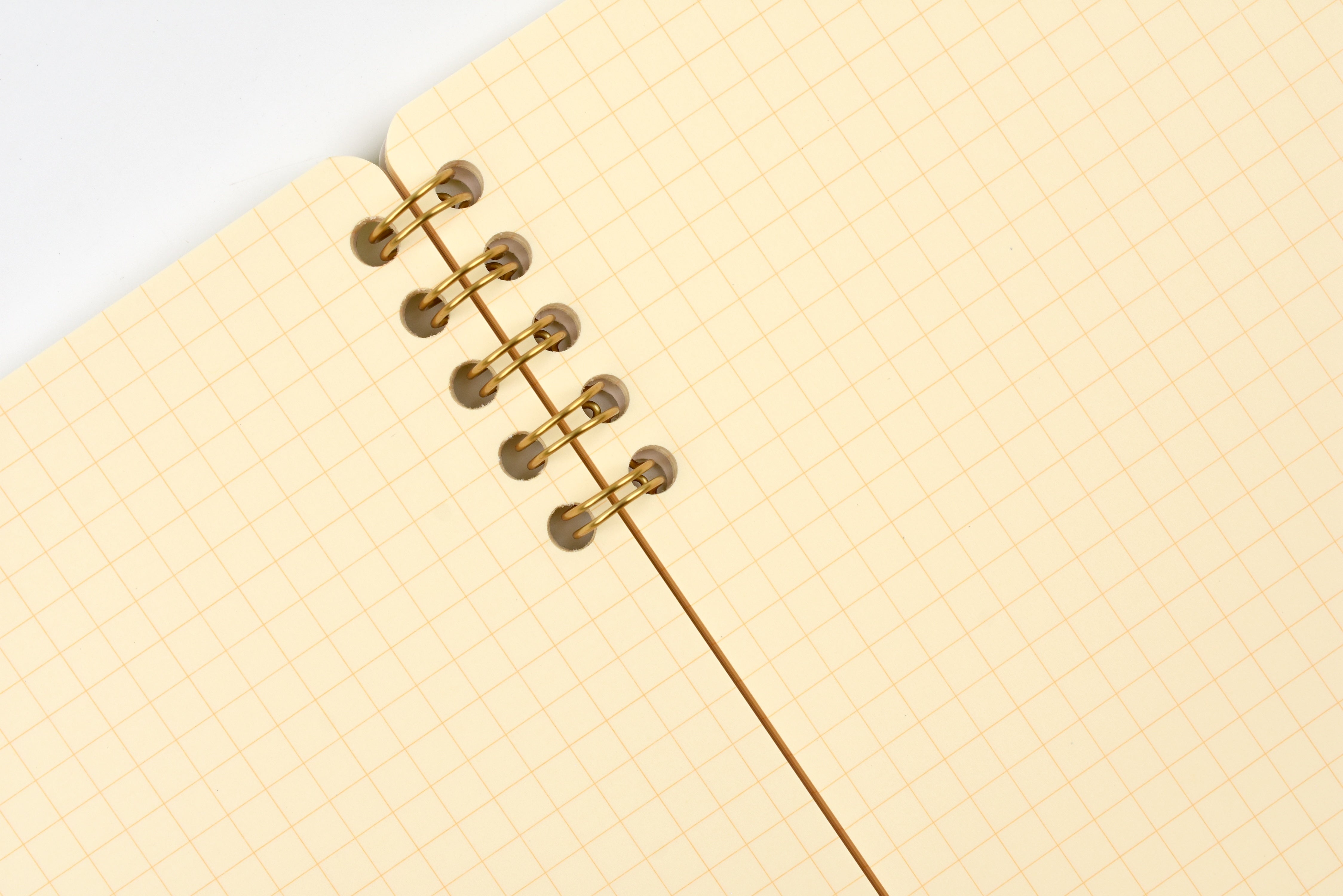 Life Cinnamon Ring-Bound Notebook - B6 - Grid