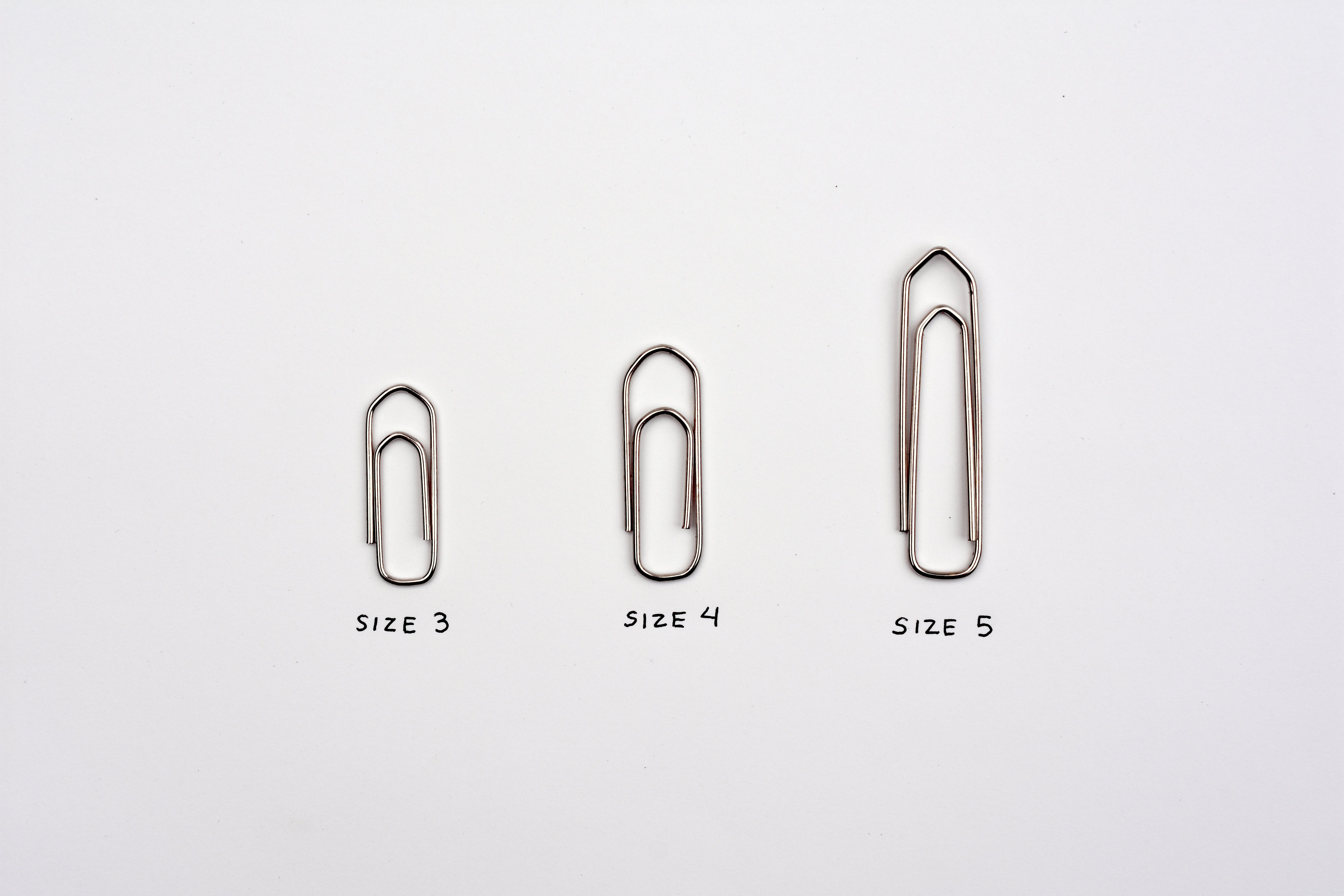 Leone Dellera - Nickel Plated Paper Clips
