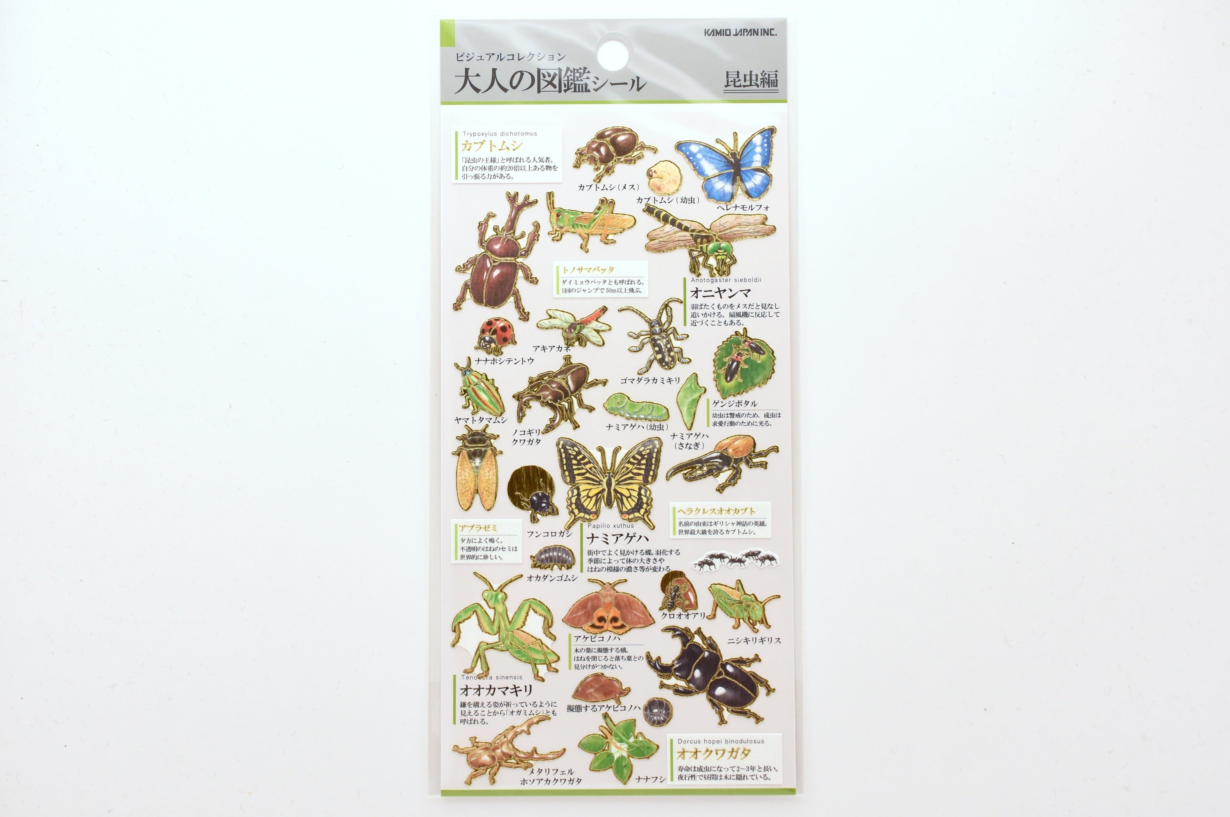 Kamio Illustrated Picture Book Stickers - Insects