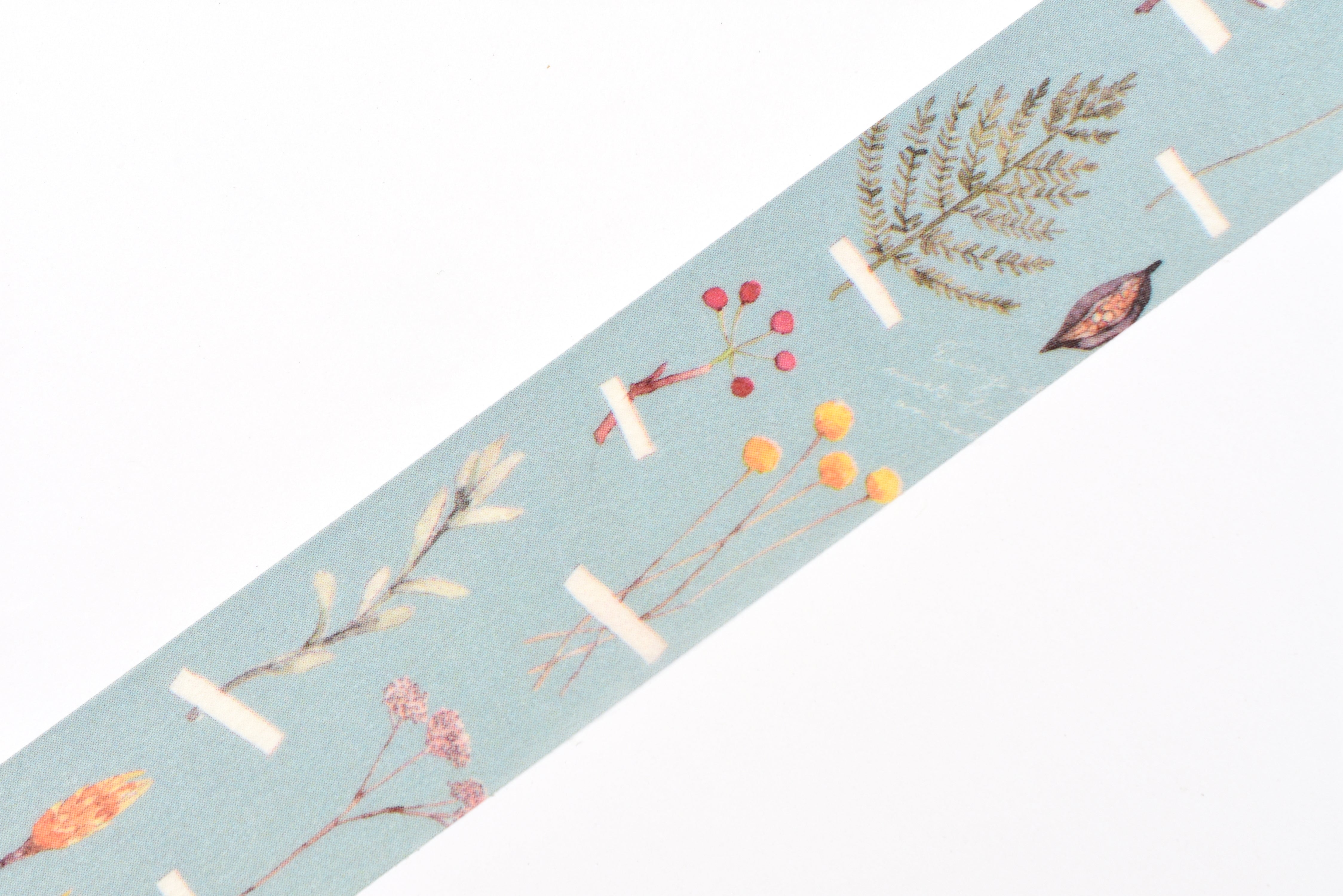 ROUNDTOP x Insomnia Design - Botanical Specimen Room Washi Tape