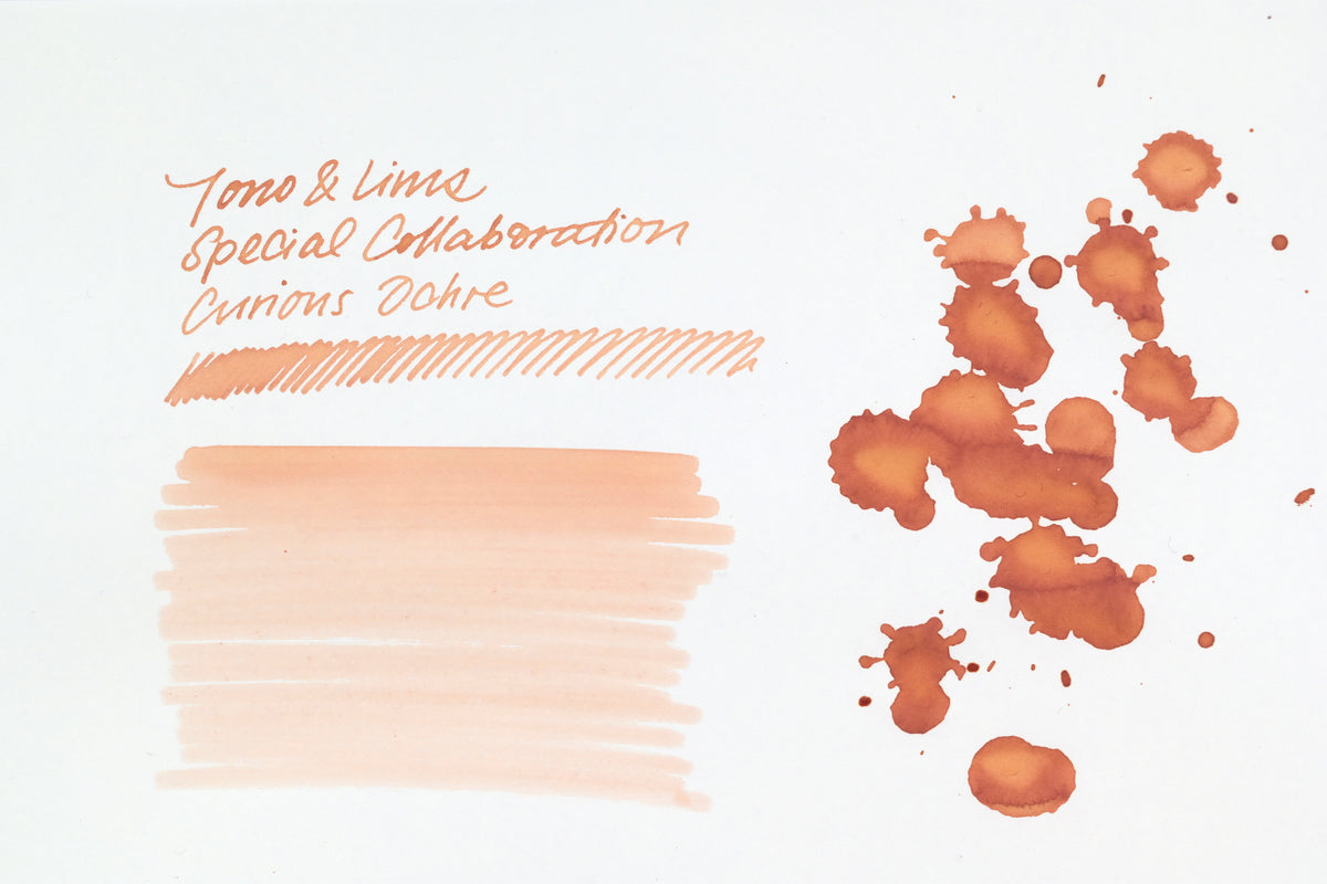 Tono & Lims Ink Bottle - Special Collaboration - Curious Ochre (しりたがりのオークル) - 30ml