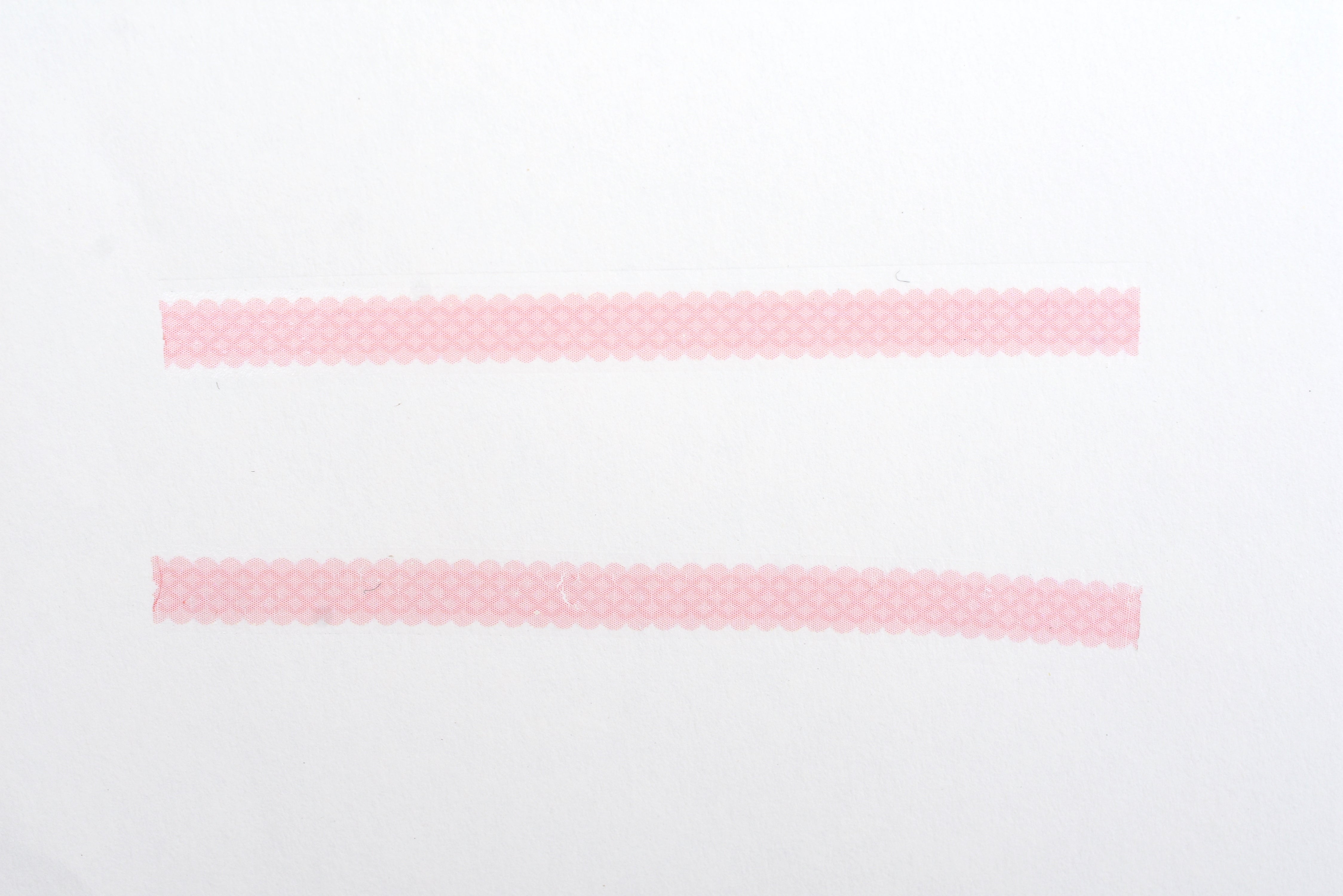 PLUS Study Liner - Lace