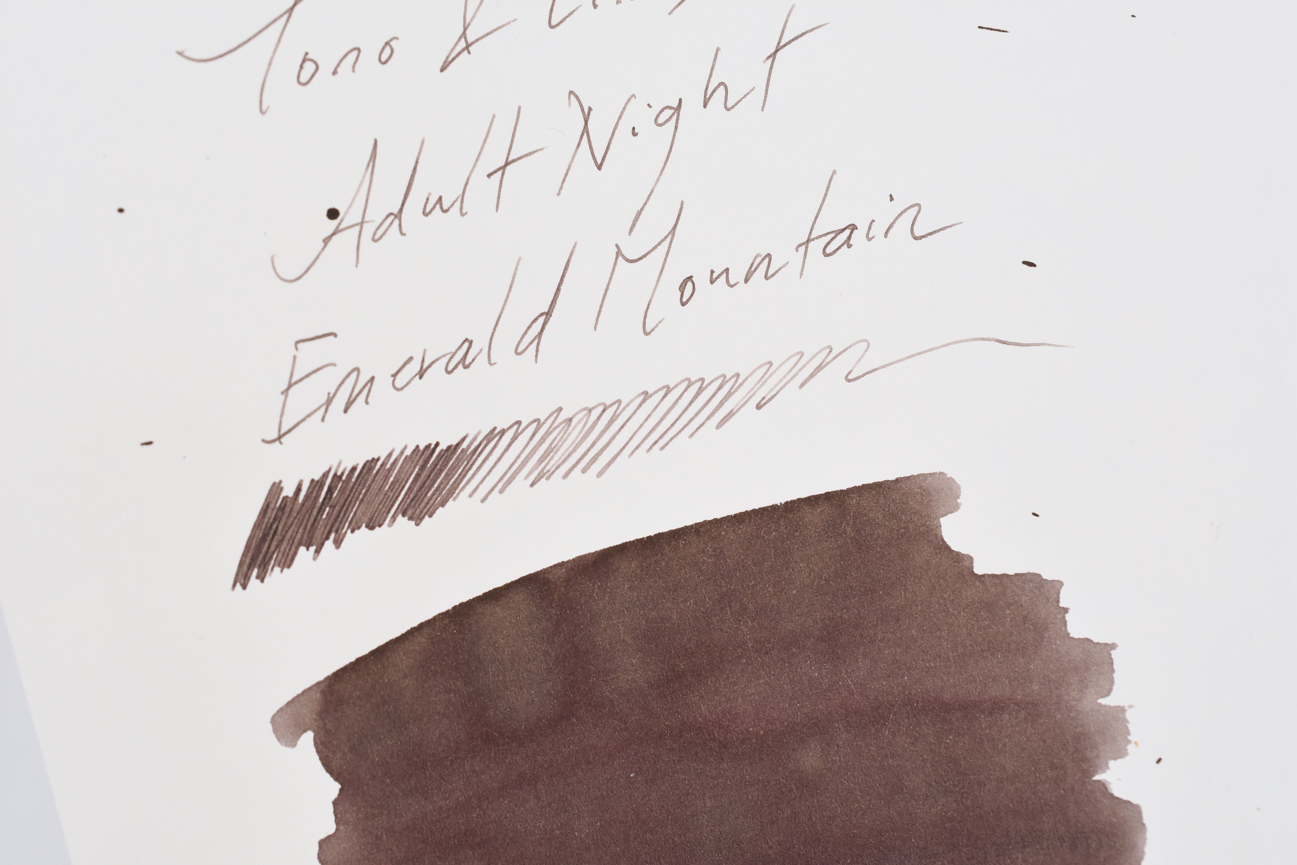 Tono & Lims Ink Bottle - Adult Night - Emerald Mountain - 30ml