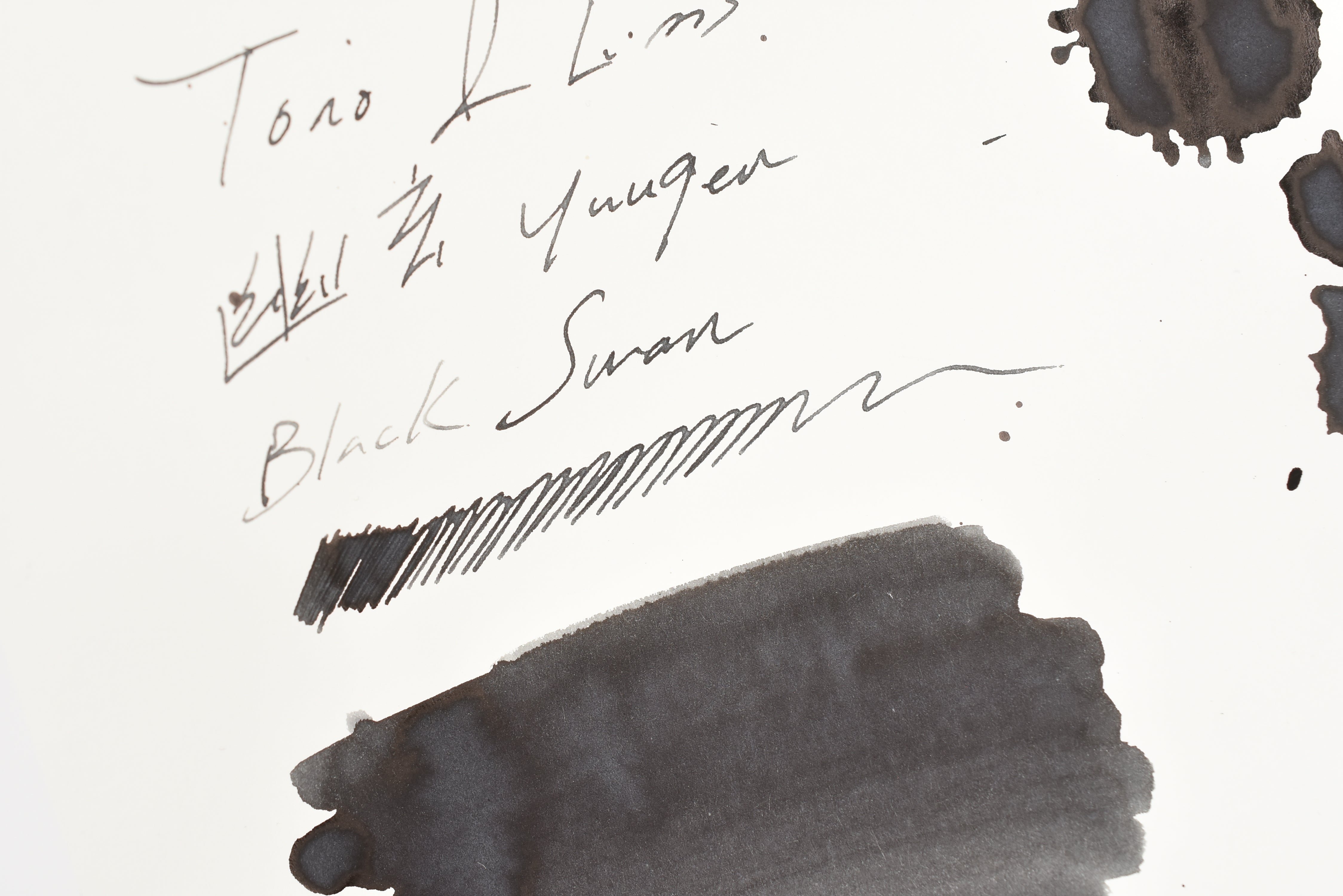 Tono & Lims Ink Bottle - 幽玄 Yuugen - Black Swan - 30ml
