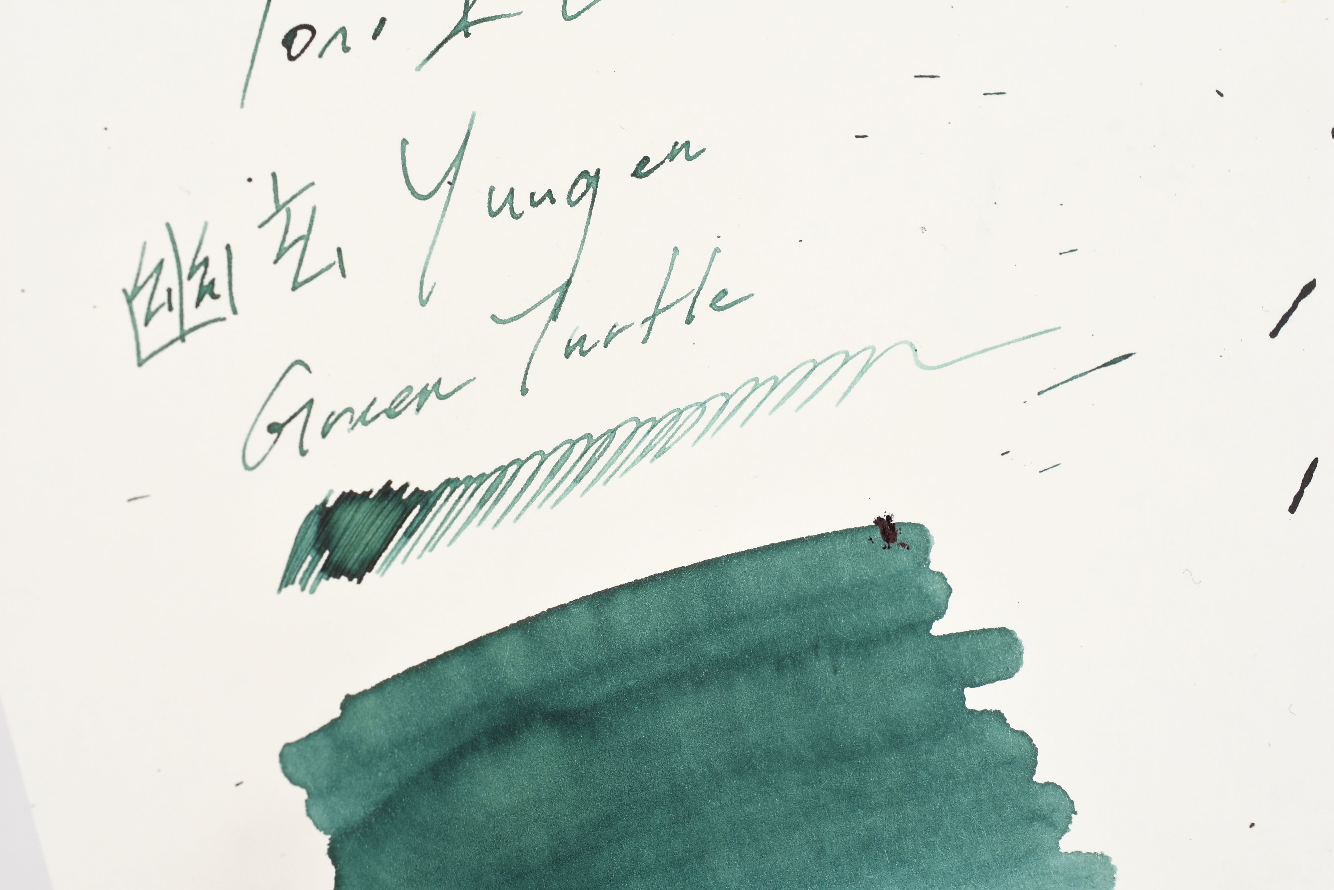 Tono & Lims Ink Bottle - 幽玄 Yuugen - Green Turtle - 30ml