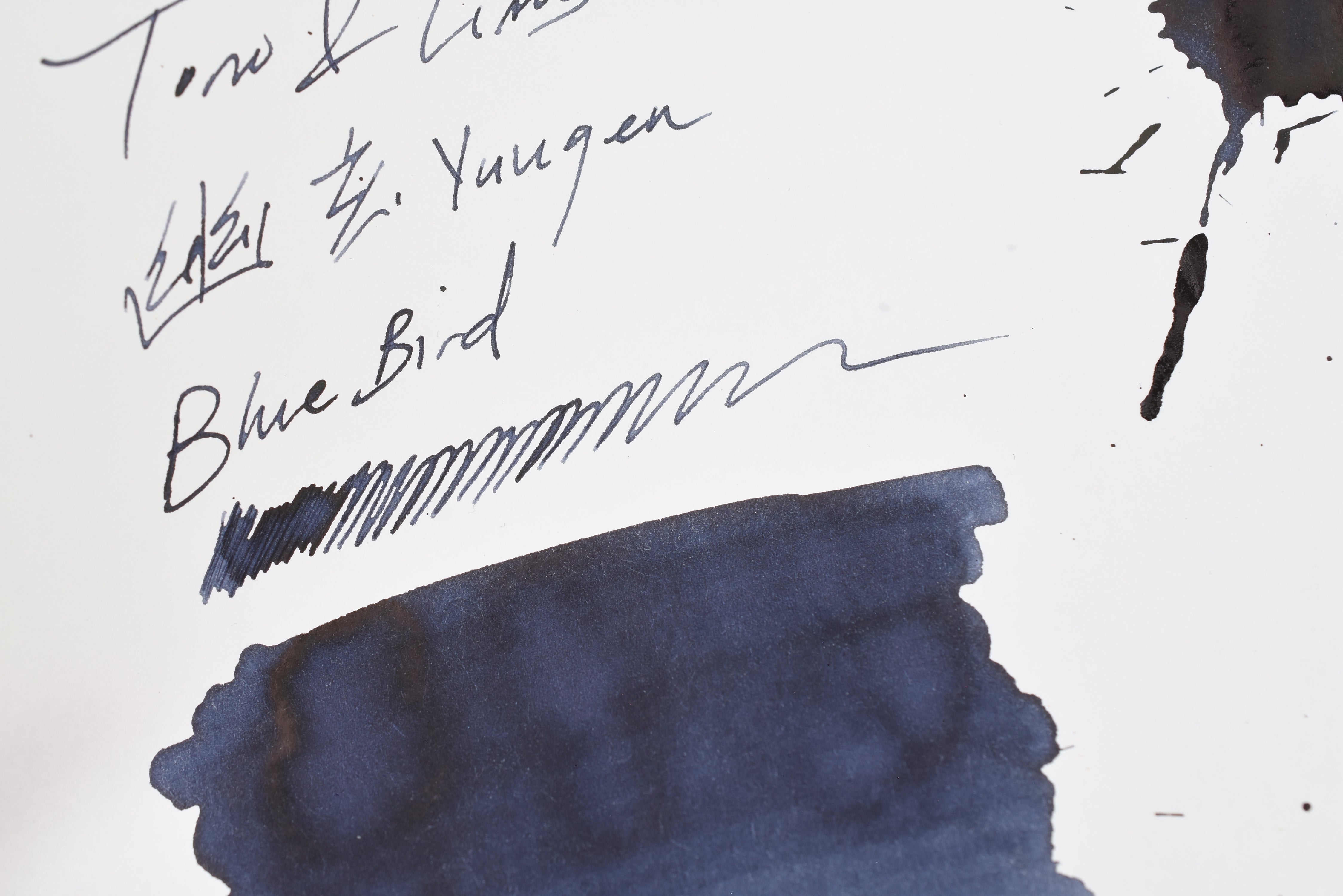 Tono & Lims Ink Bottle - 幽玄 Yuugen - Blue Bird - 30ml