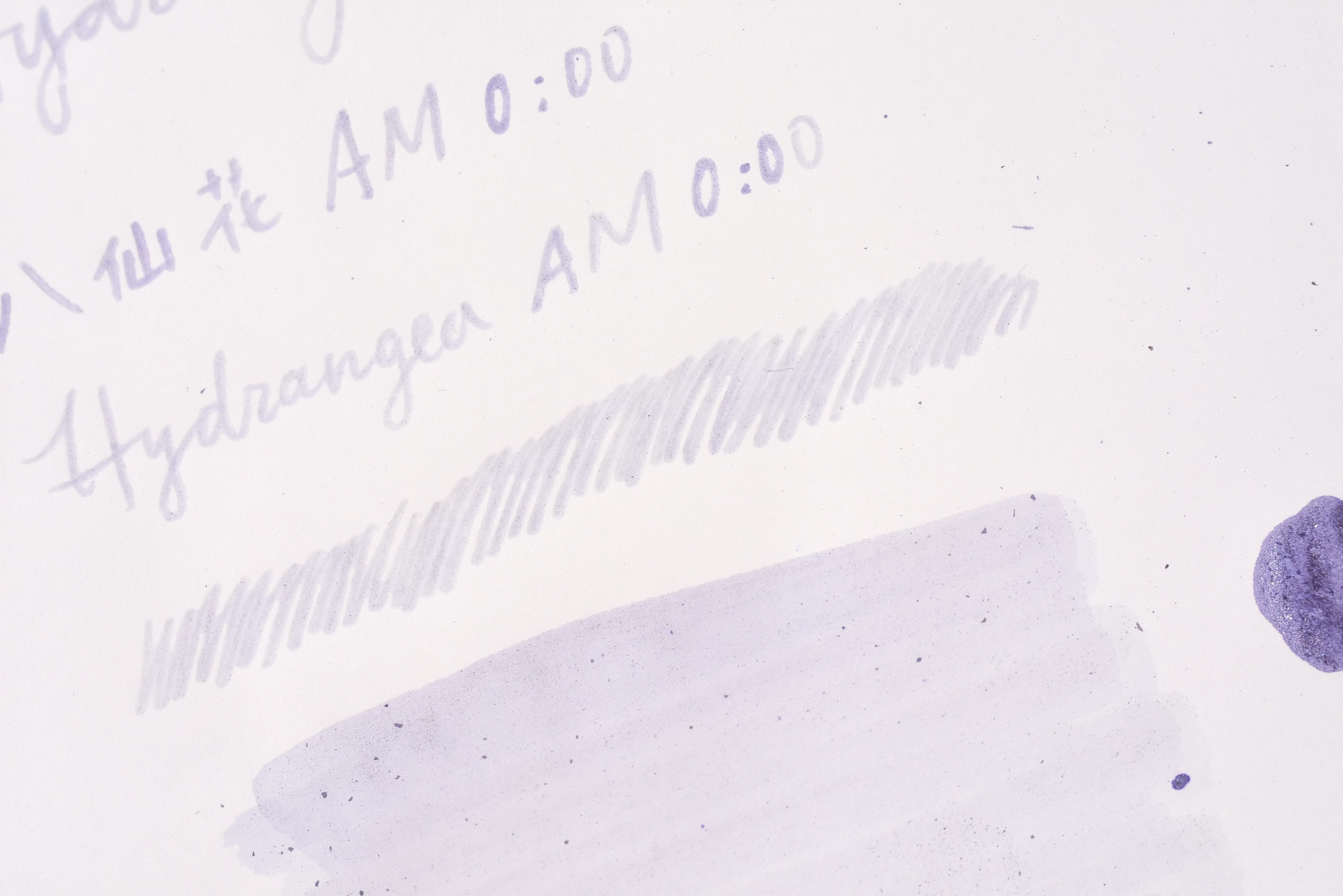 Tono & Lims Ink Bottle - Hydrangea - 八仙花 AM0:00 (Hydrangea AM0:00) - 15ml
