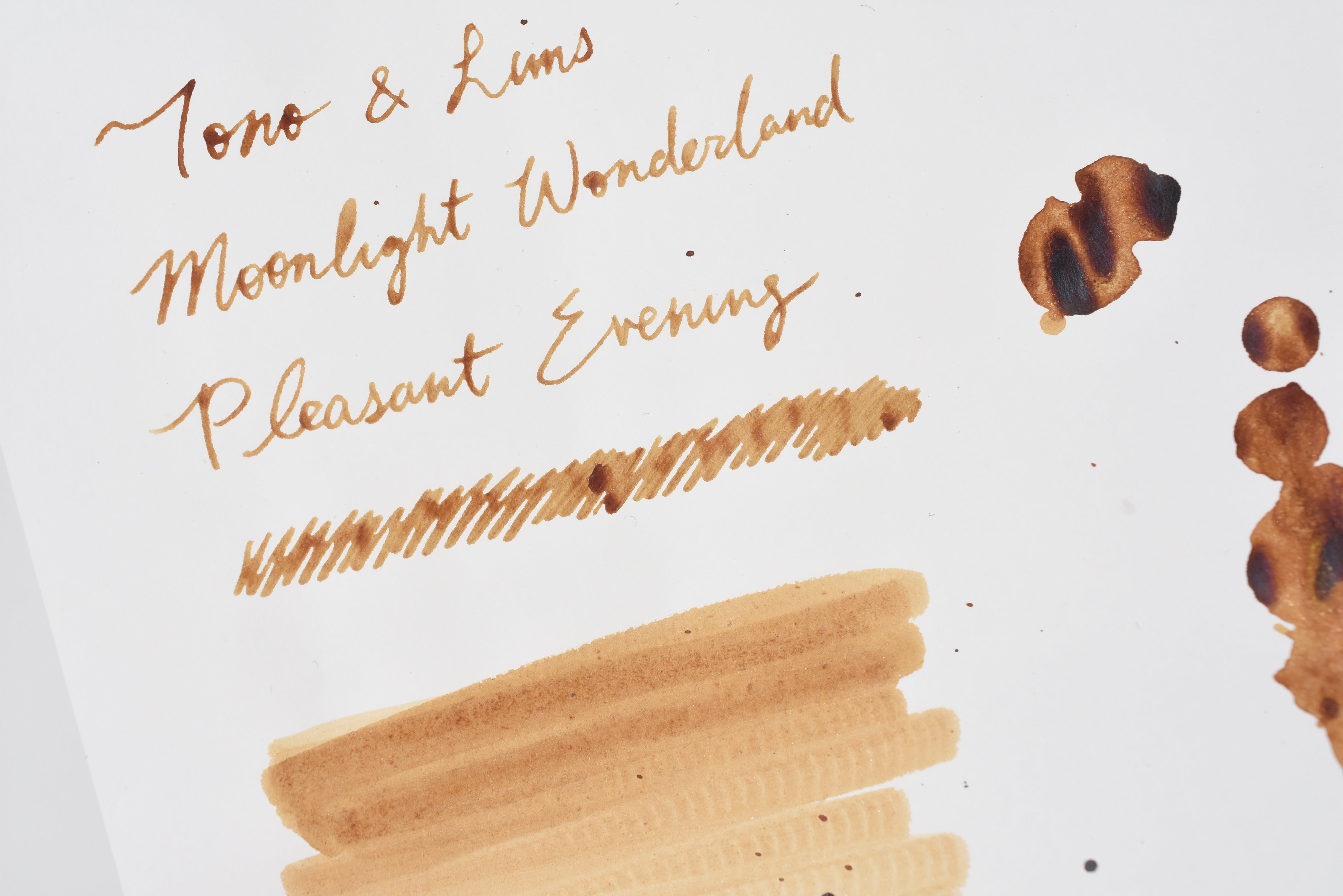 Tono & Lims Ink Bottle - Moonlight Wonderland - 良宵(Pleasant Evening) - 30ml