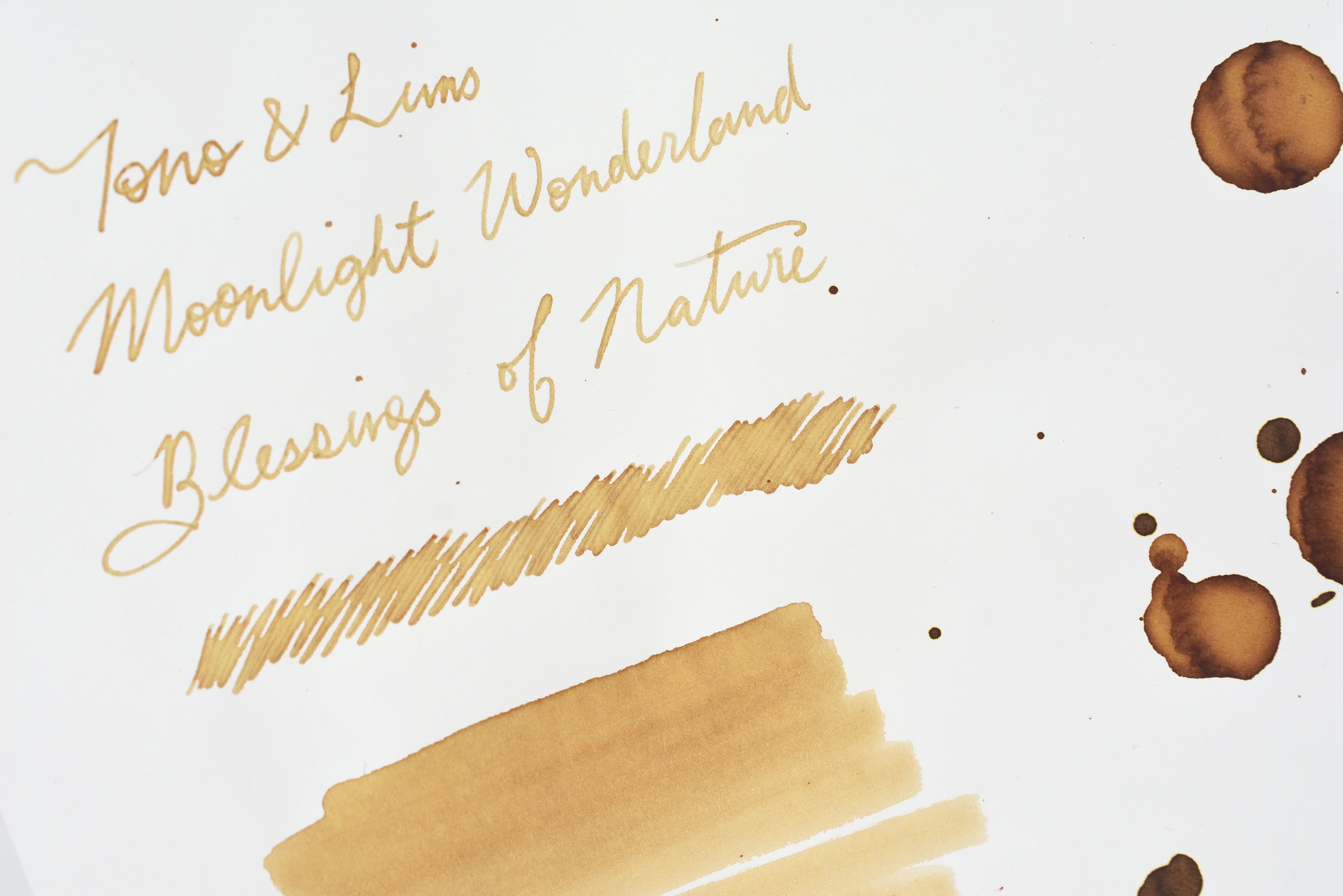 Tono & Lims Ink Bottle - Moonlight Wonderland - Blessings of Nature - 30ml