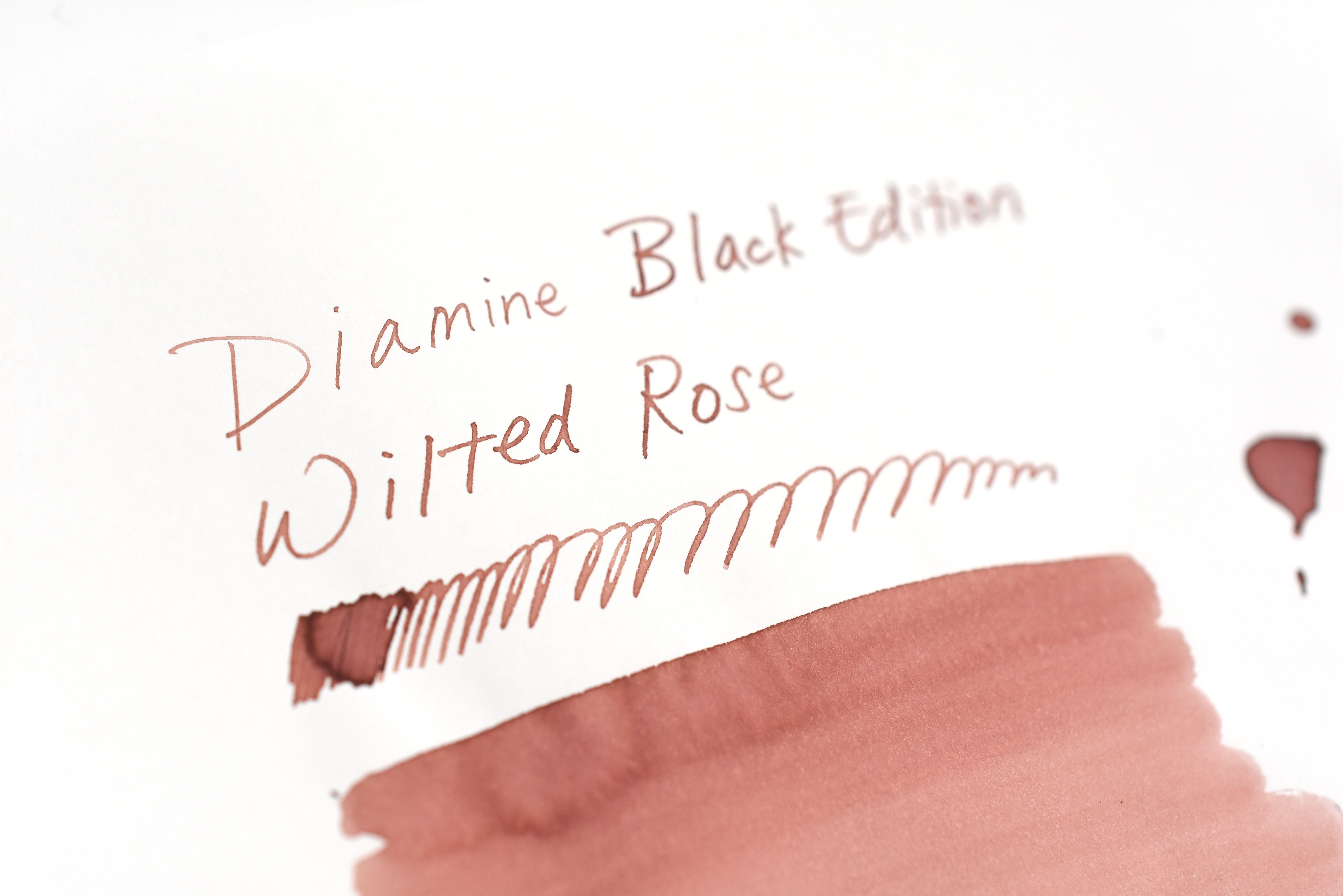 Diamine Black Edition - Standard - Wilted Rose