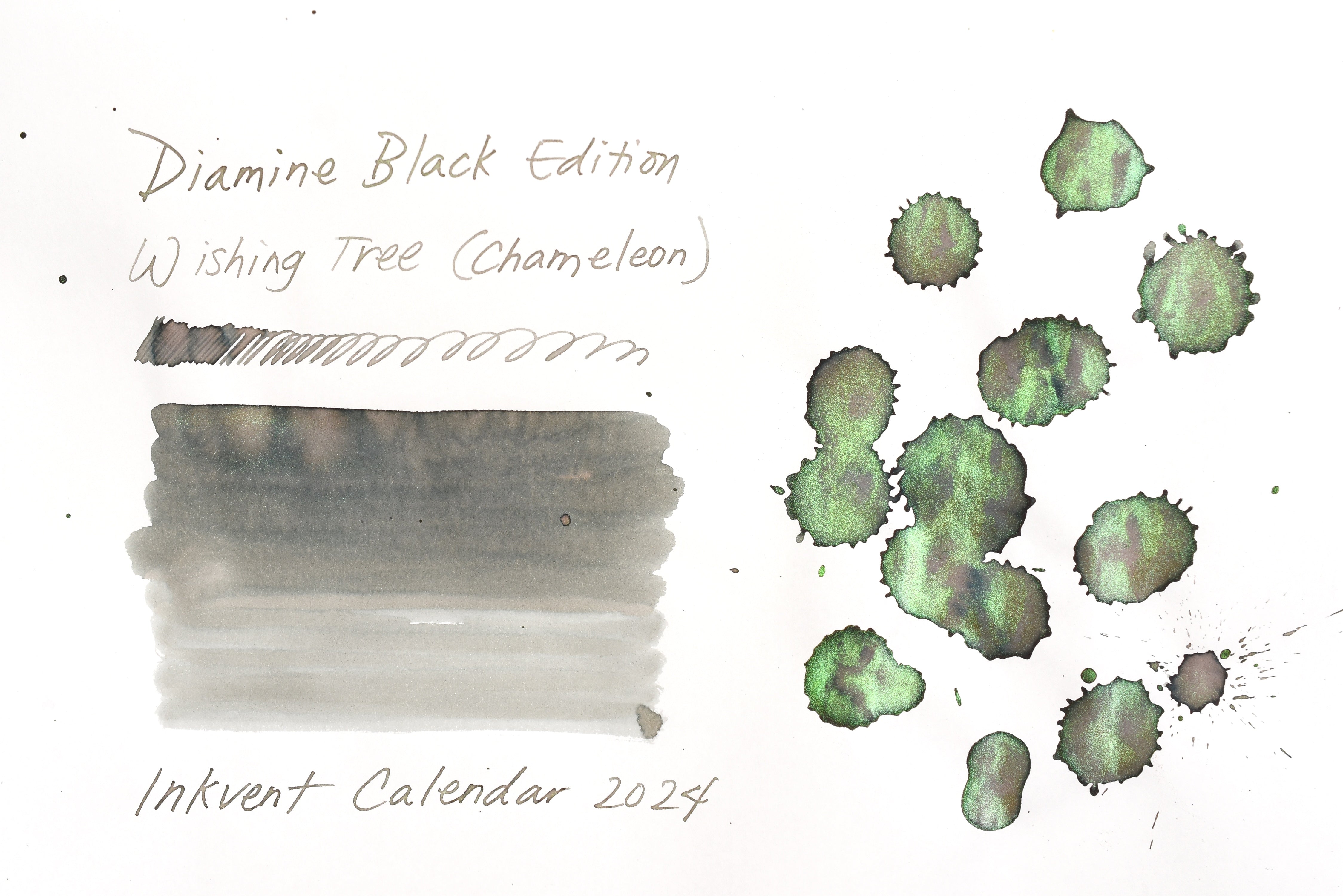 Diamine Black Edition - Chameleon - Wishing Tree