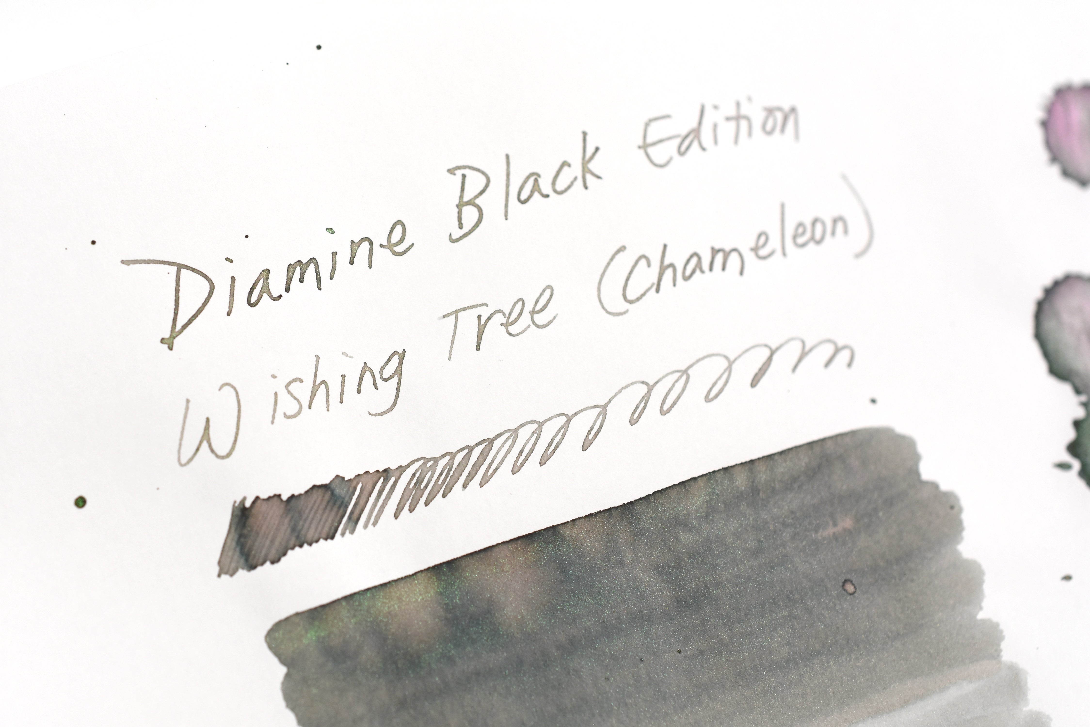 Diamine Black Edition - Chameleon - Wishing Tree