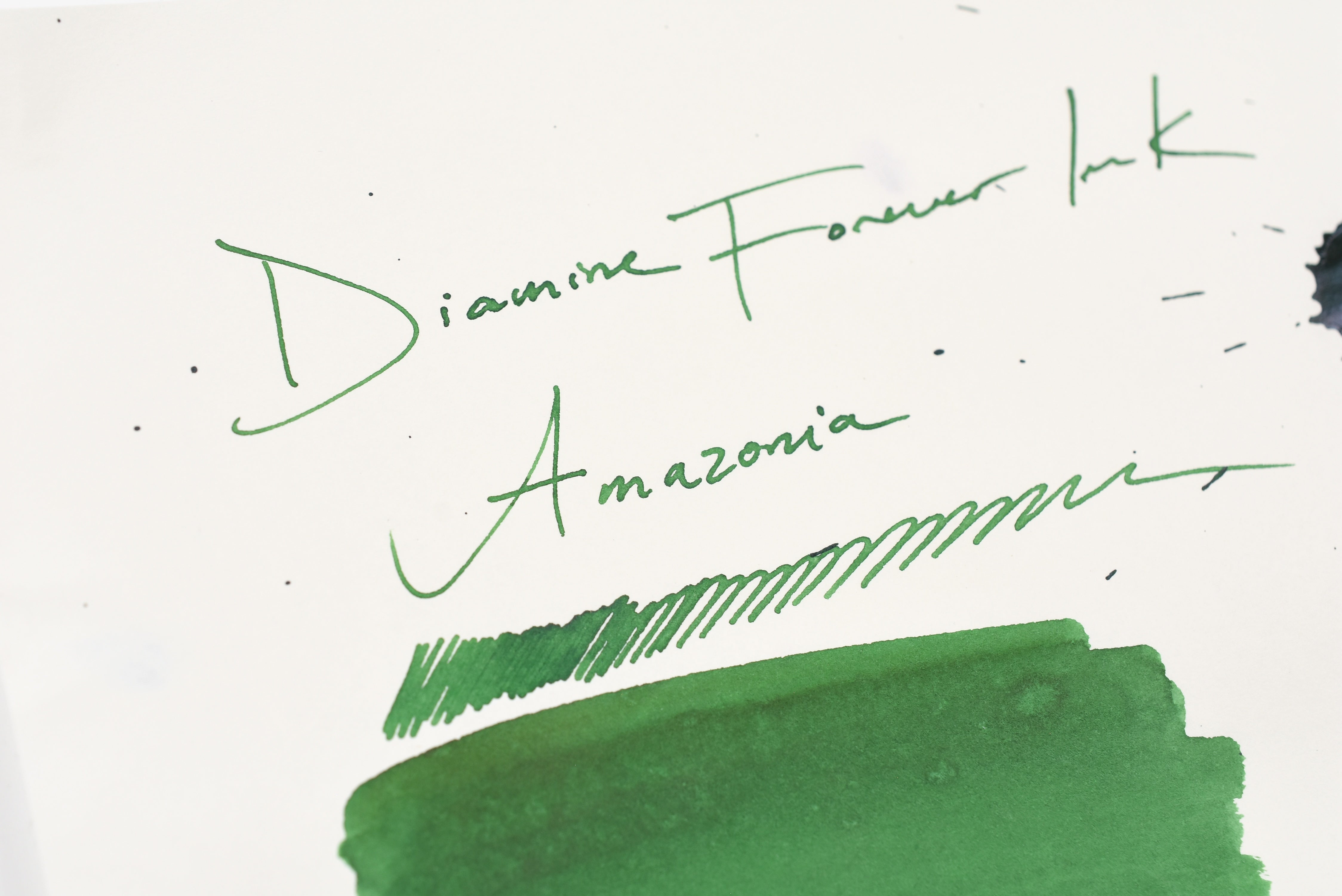 Diamine Forever Inks - Amazonia - 50mL