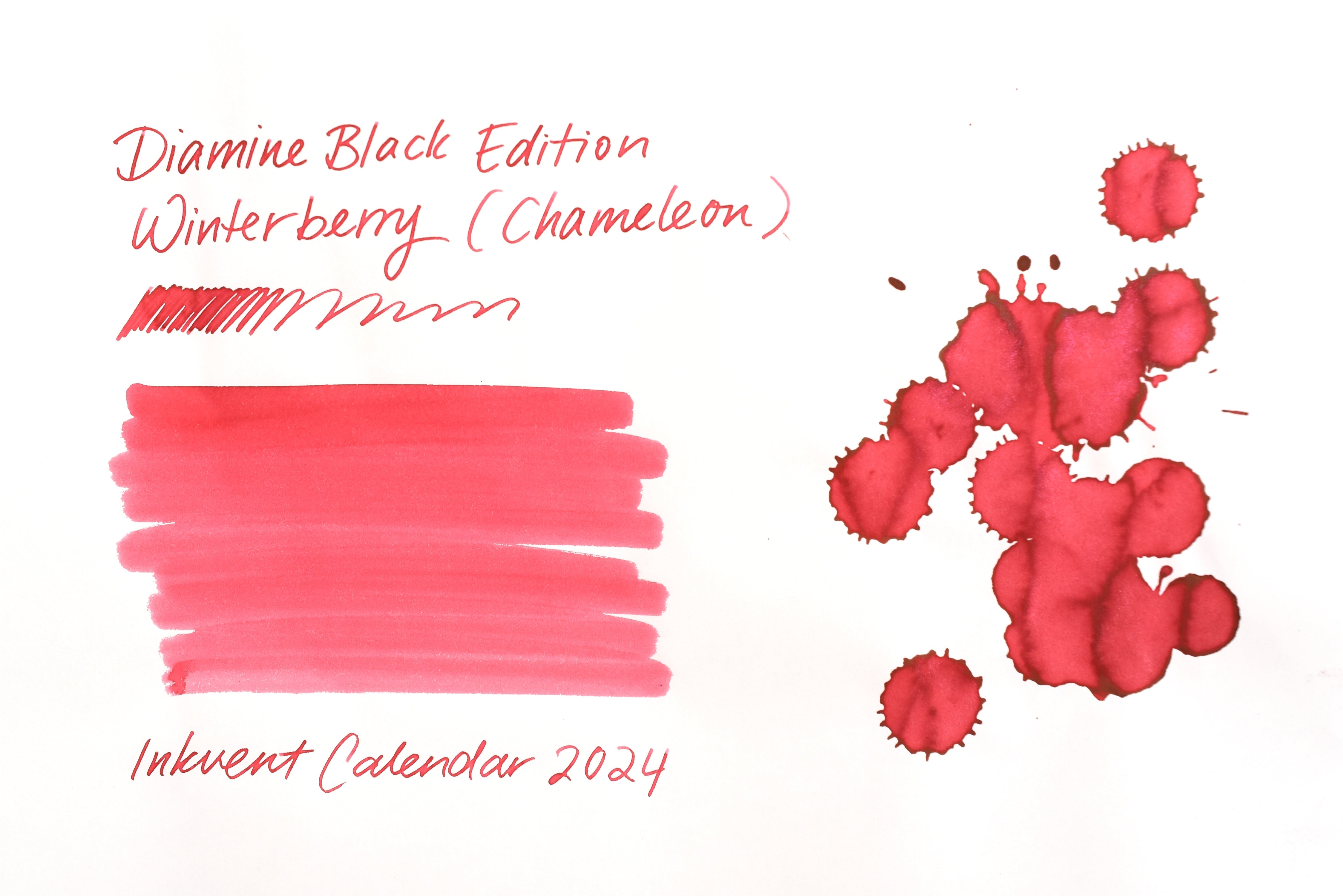 Diamine Black Edition - Chameleon - Winterberry