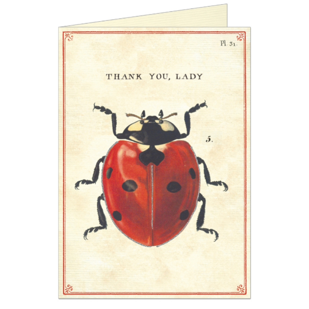 Thank You Lady - Greeting Card