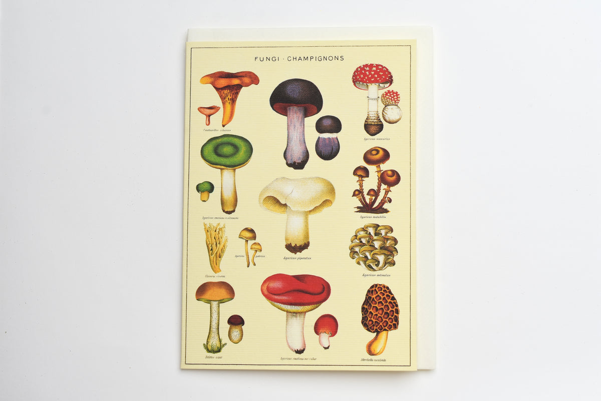 Mushroom Greeting Card