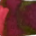 930 - 3ml