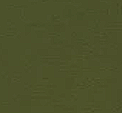 Army