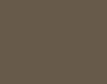 Ash Bronze