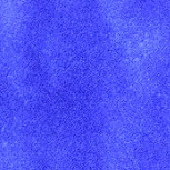 Bleu Myosotis