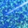 Blue + Metallic Green