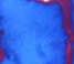 Blue Water Ice - 5ml