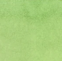 高麗菜 Cabbage - 3ml