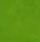 Cactus Green